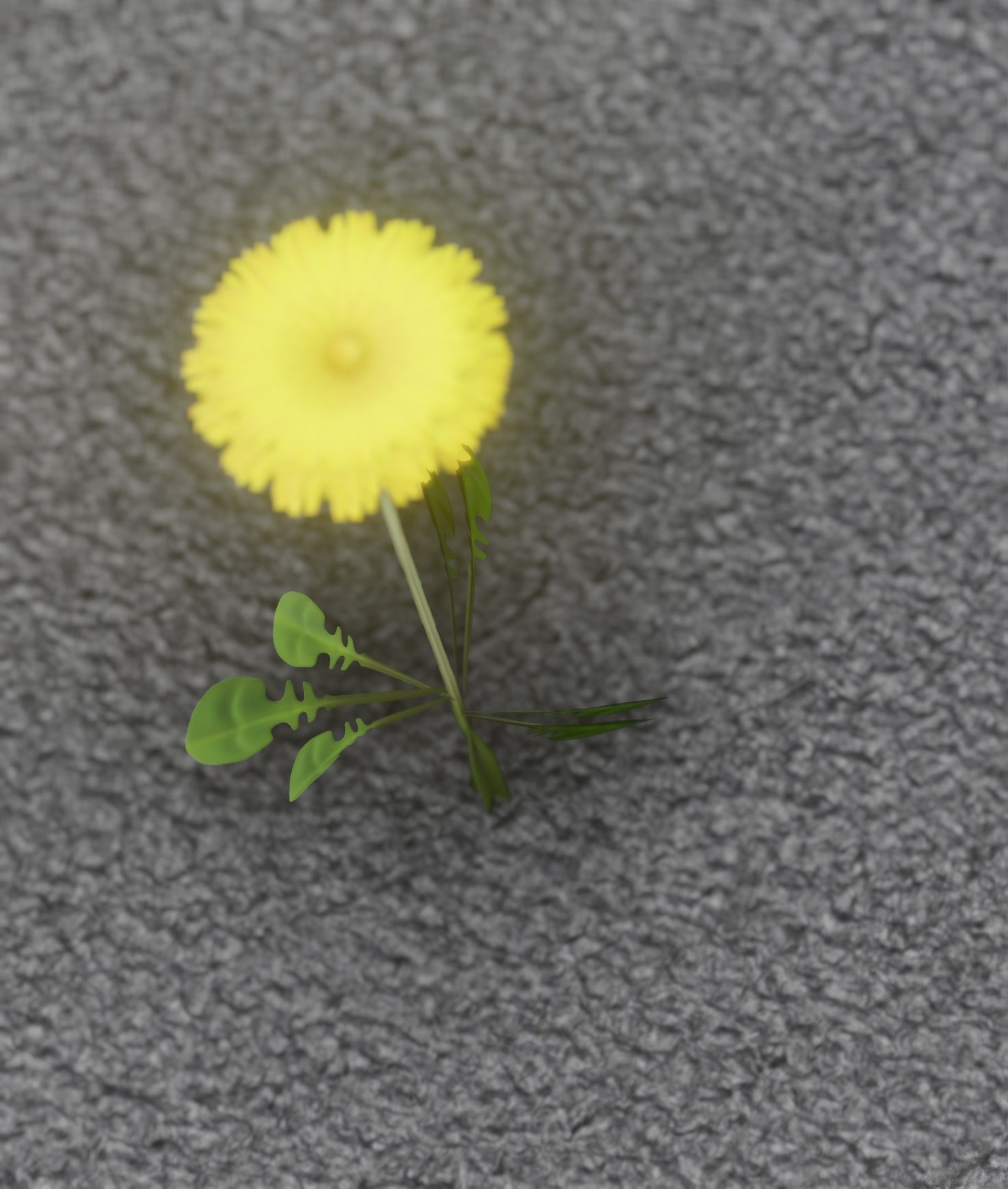 Low-Poly Dandelion Flower Version 4 - Object 10 Low-poly 3D model_18