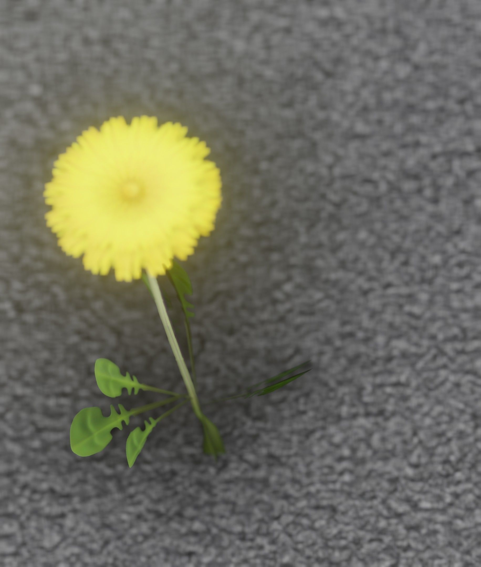 Low-Poly Dandelion Flower Version 4 - Object 10 Low-poly 3D model_17