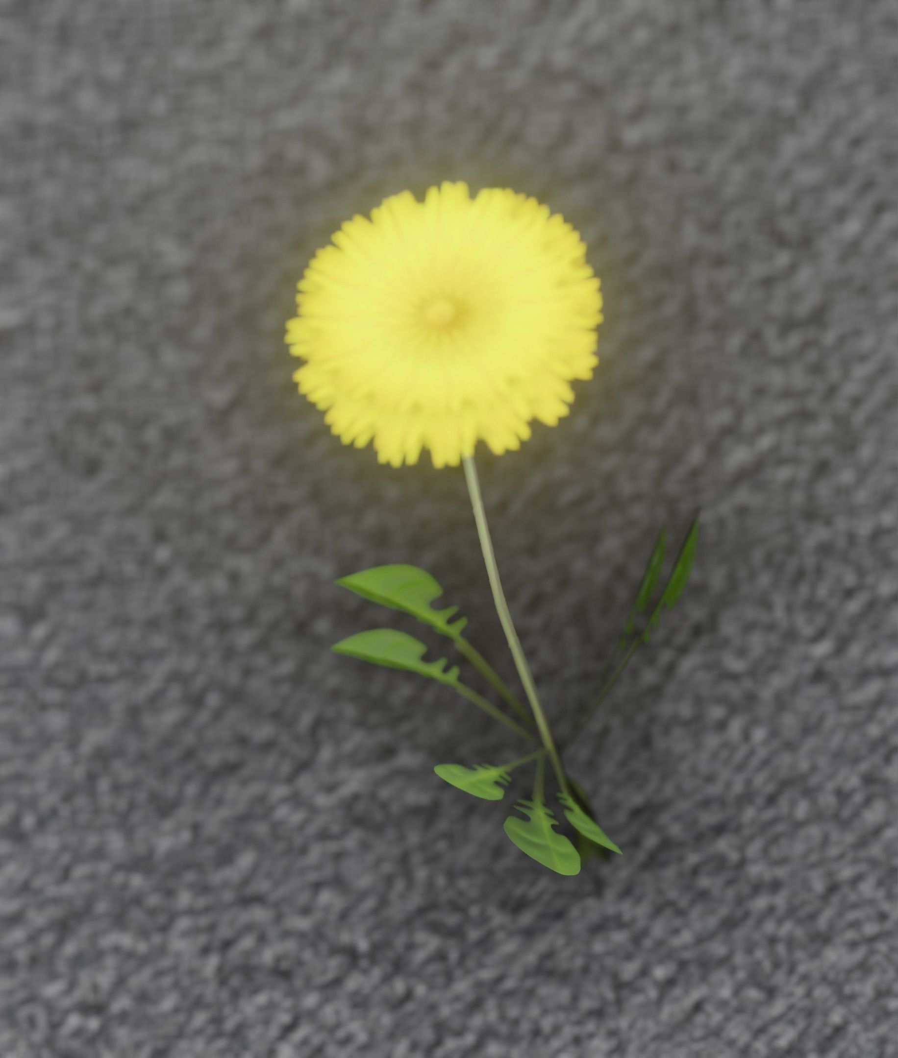 Low-Poly Dandelion Flower Version 4 - Object 10 Low-poly 3D model_14