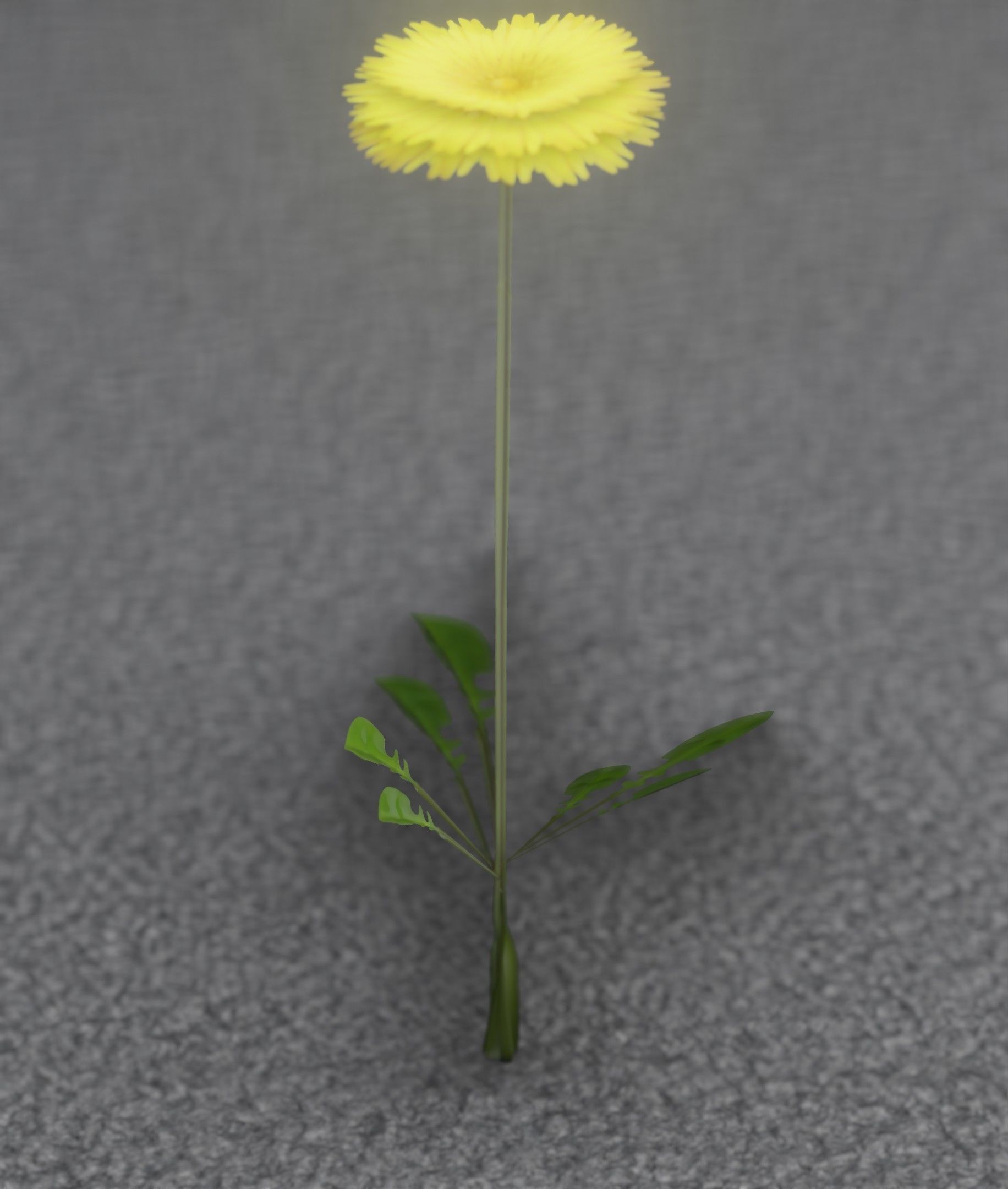 Low-Poly Dandelion Flower Version 4 - Object 10 Low-poly 3D model_41