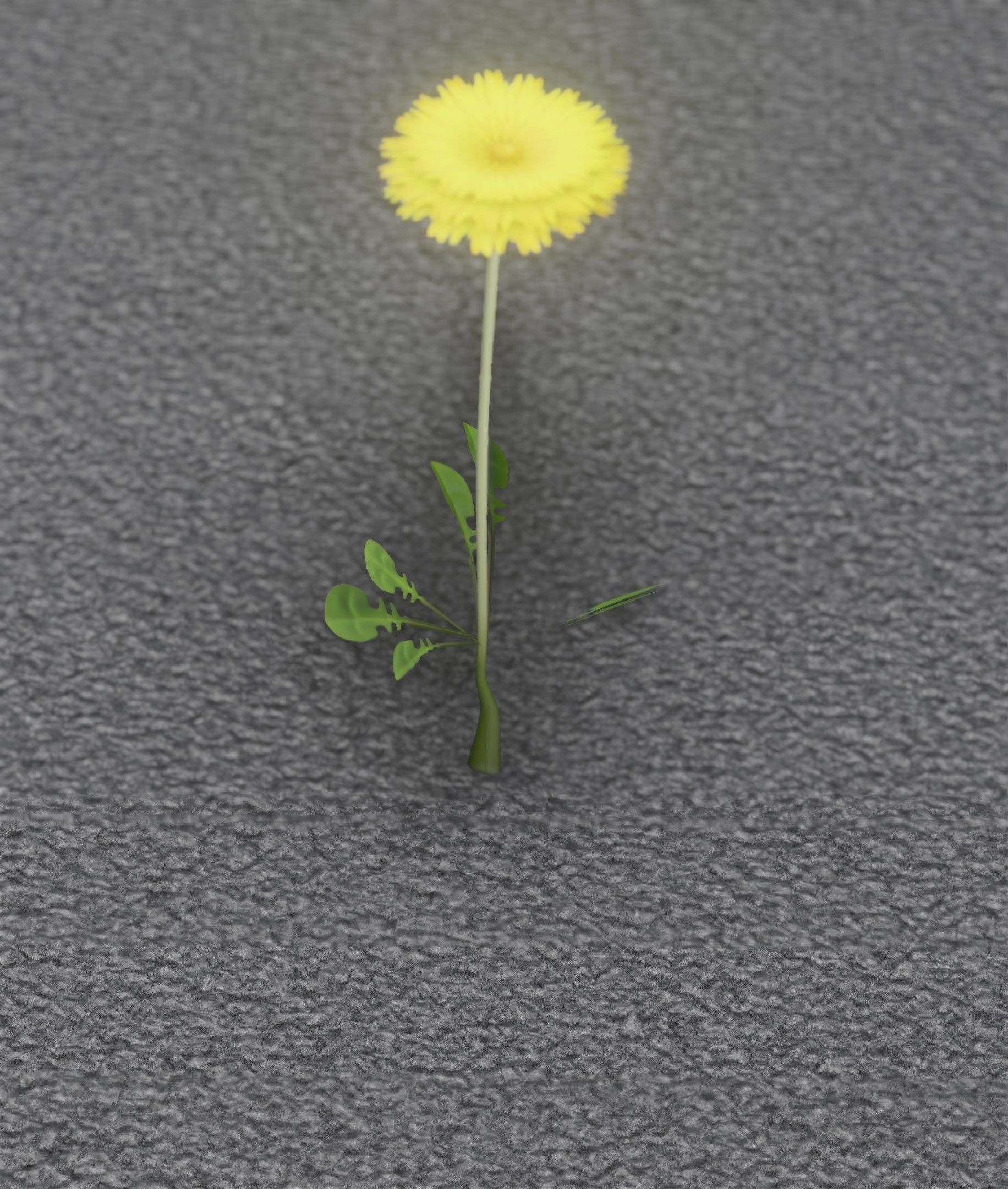 Low-Poly Dandelion Flower Version 4 - Object 10 Low-poly 3D model_45