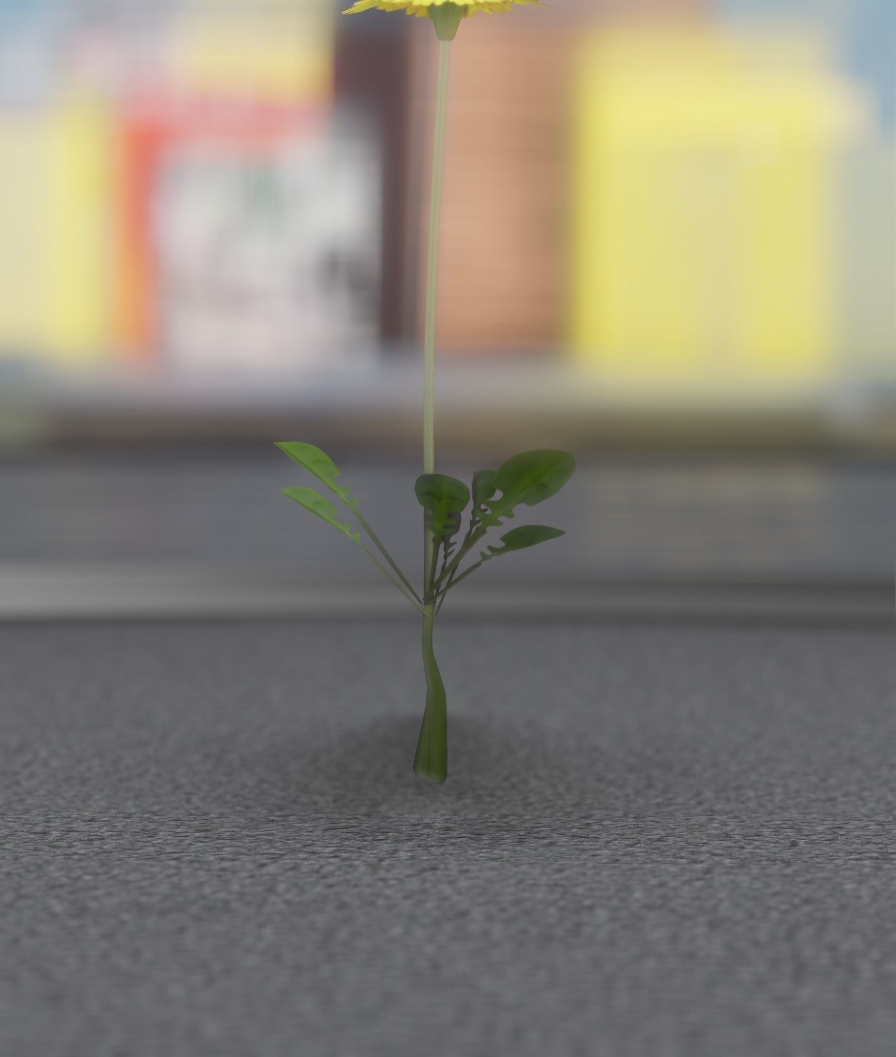 Low-Poly Dandelion Flower Version 4 - Object 10 Low-poly 3D model_30