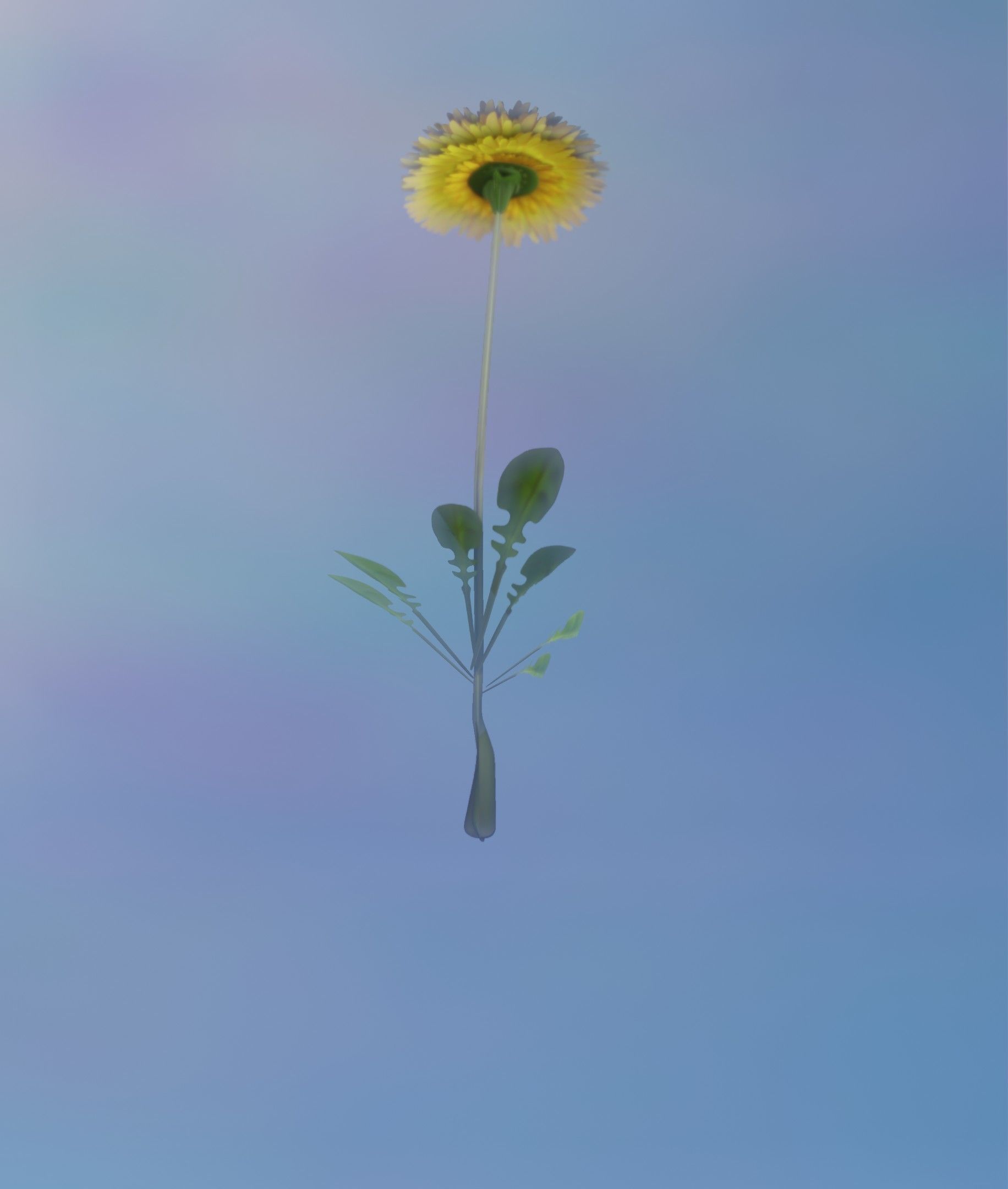 Low-Poly Dandelion Flower Version 4 - Object 10 Low-poly 3D model_31