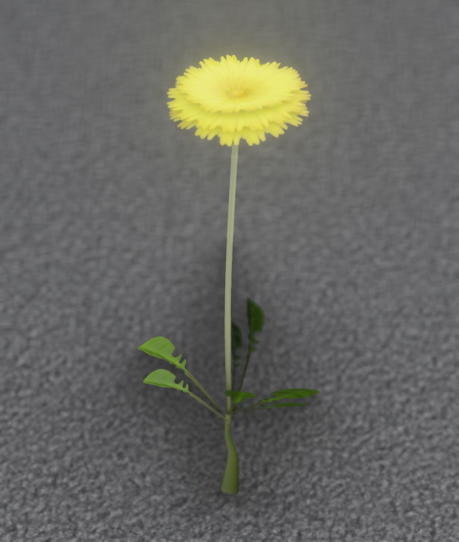 Low-Poly Dandelion Flower Version 4 - Object 10 Low-poly 3D model_42