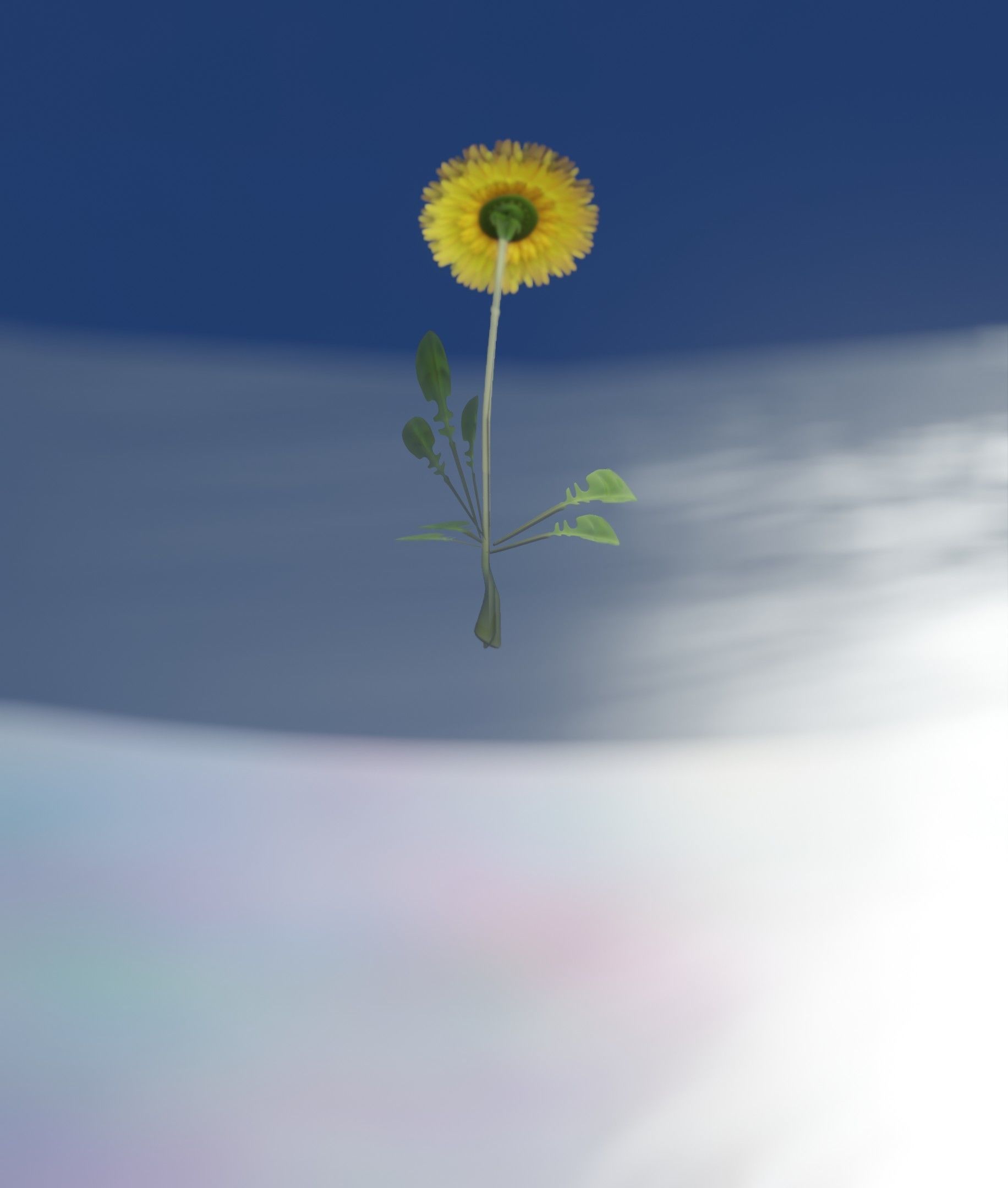 Low-Poly Dandelion Flower Version 4 - Object 10 Low-poly 3D model_33