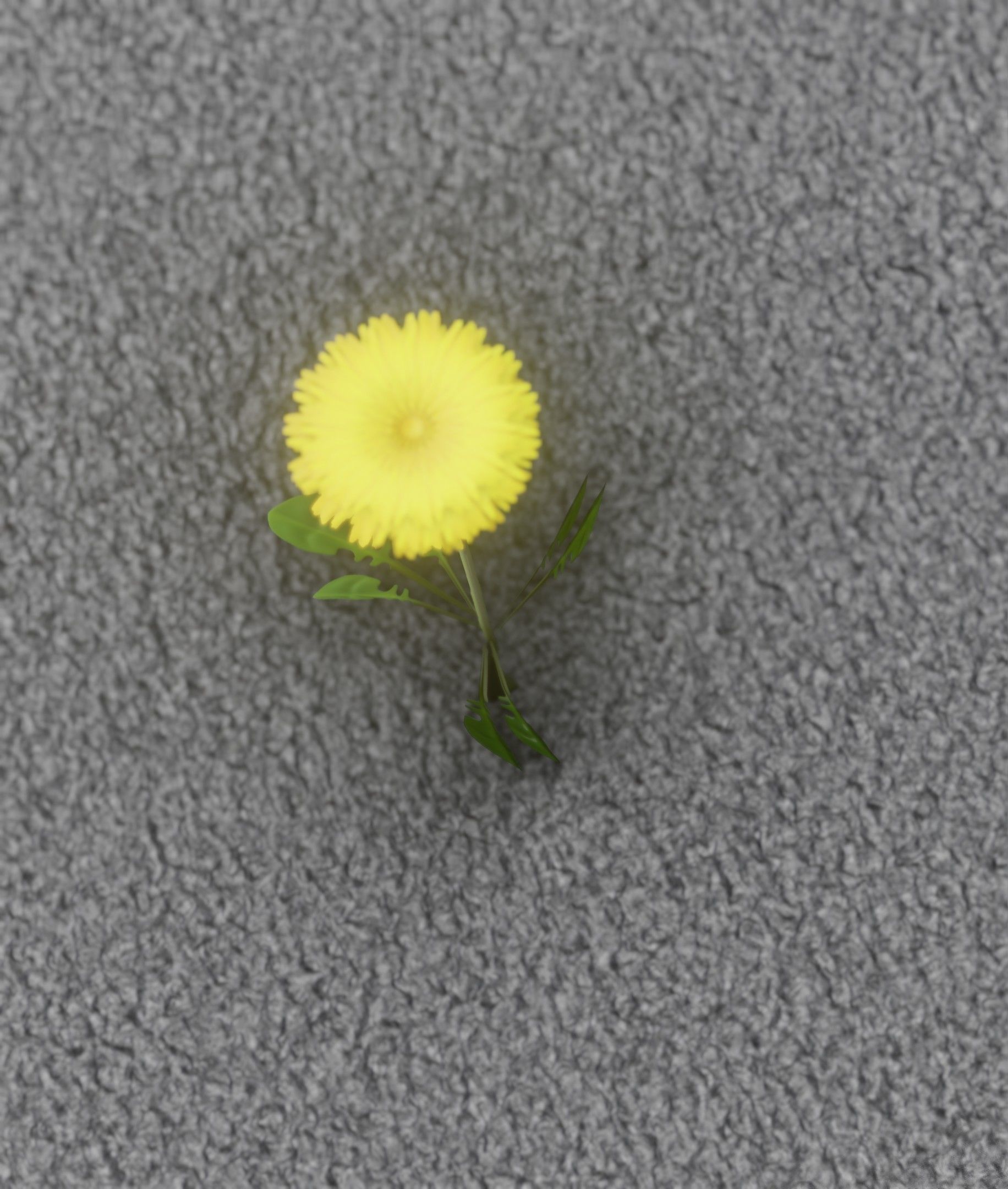 Low-Poly Dandelion Flower Version 4 - Object 10 Low-poly 3D model_20
