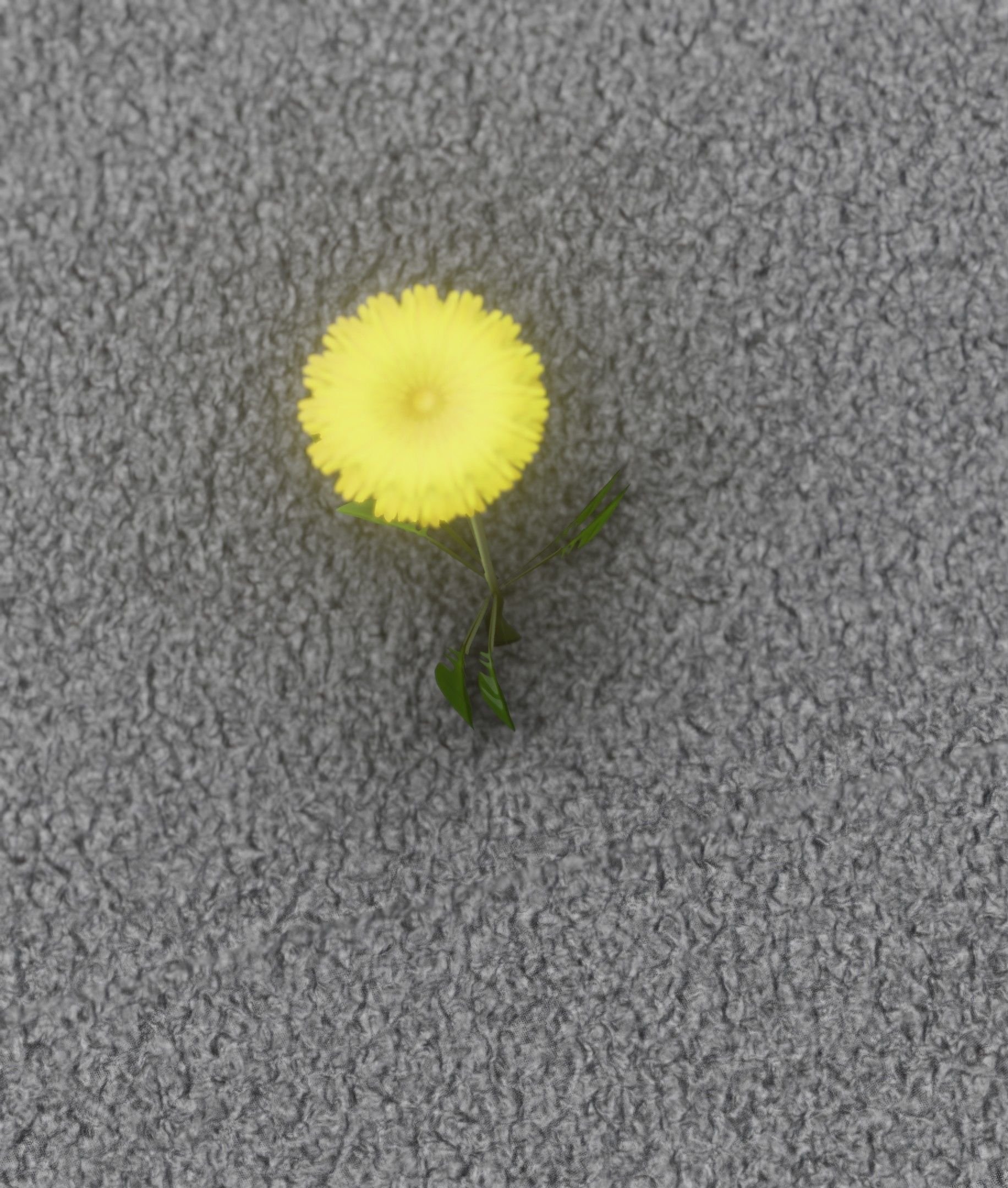 Low-Poly Dandelion Flower Version 4 - Object 10 Low-poly 3D model_5