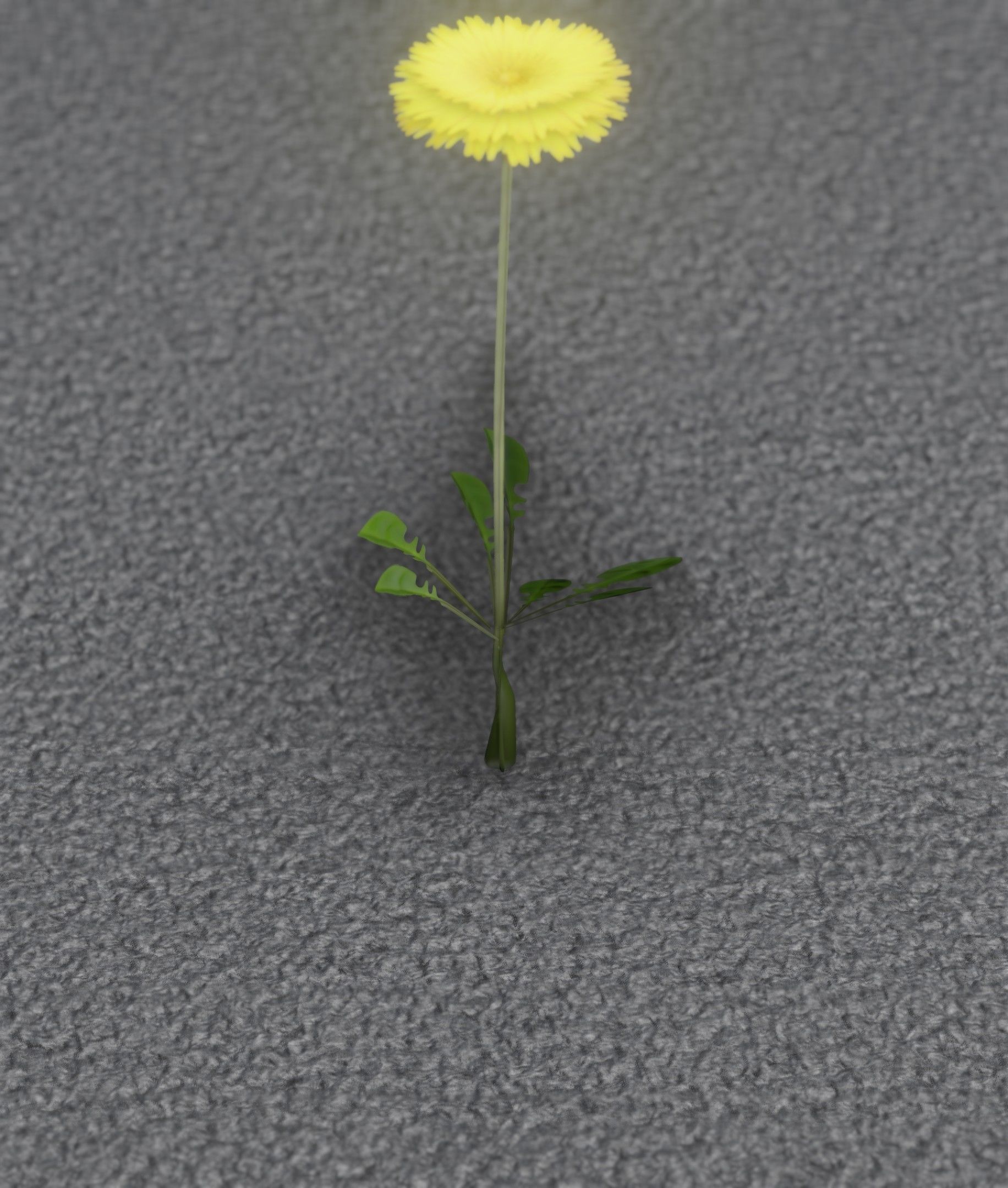 Low-Poly Dandelion Flower Version 4 - Object 10 Low-poly 3D model_29