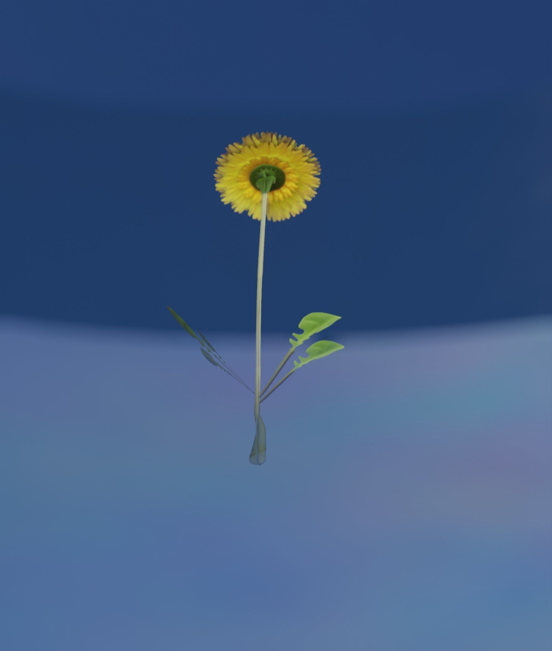 Low-Poly Dandelion Flower Version 4 - Object 10 Low-poly 3D model_35