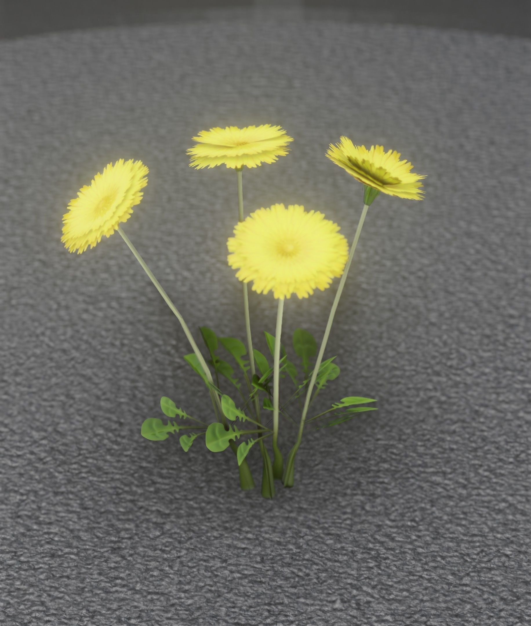 Low-Poly Dandelion Flower Version 5 - Object 11 Low-poly 3D model_43