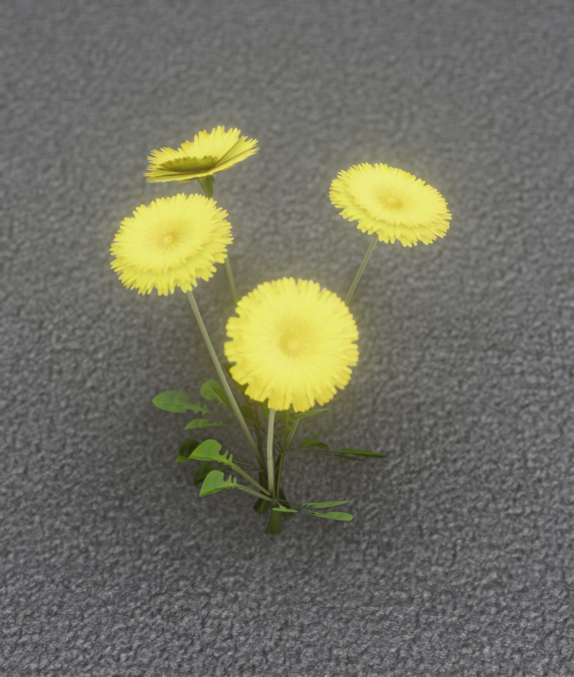 Low-Poly Dandelion Flower Version 5 - Object 11 Low-poly 3D model_40