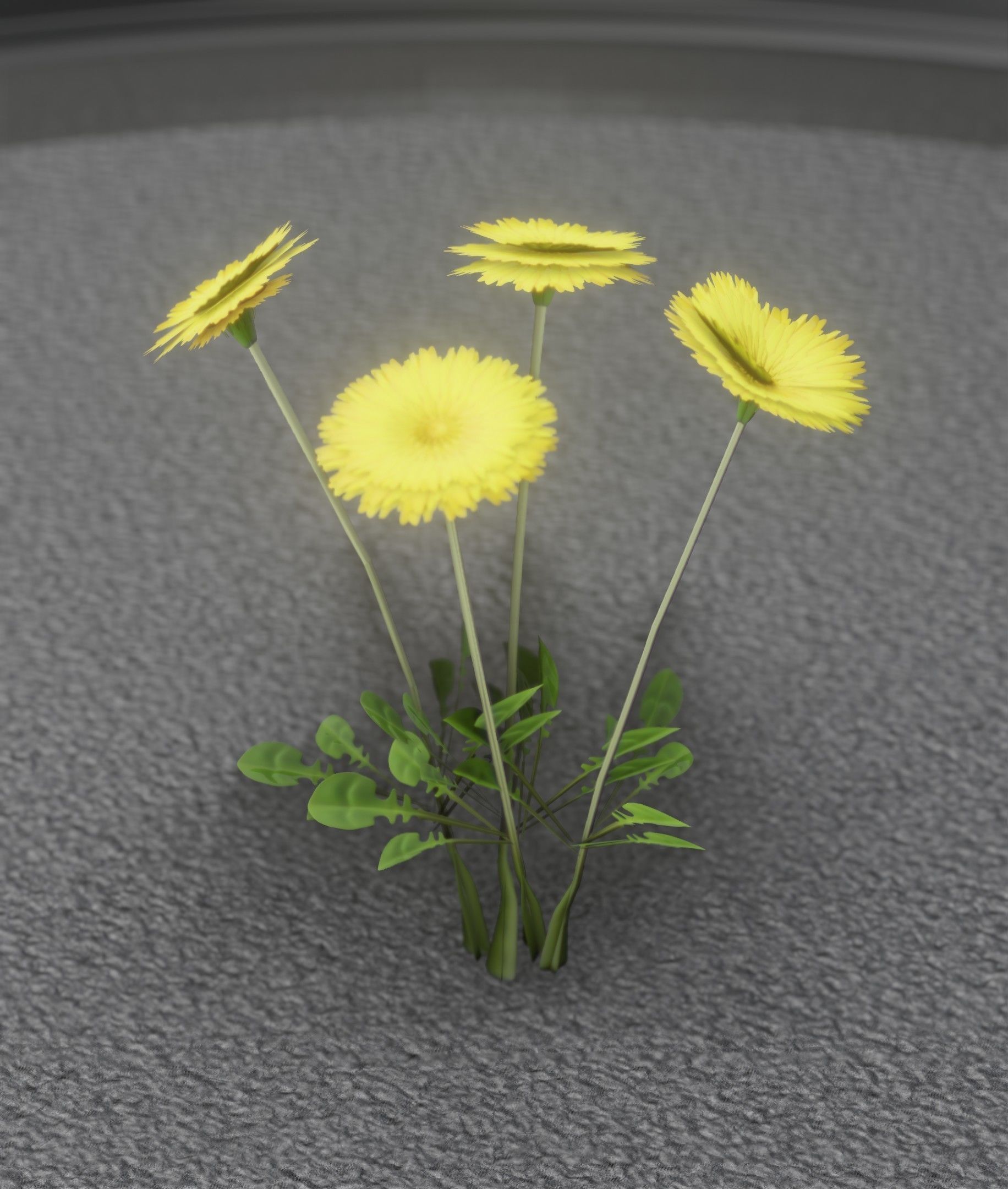 Low-Poly Dandelion Flower Version 5 - Object 11 Low-poly 3D model_44