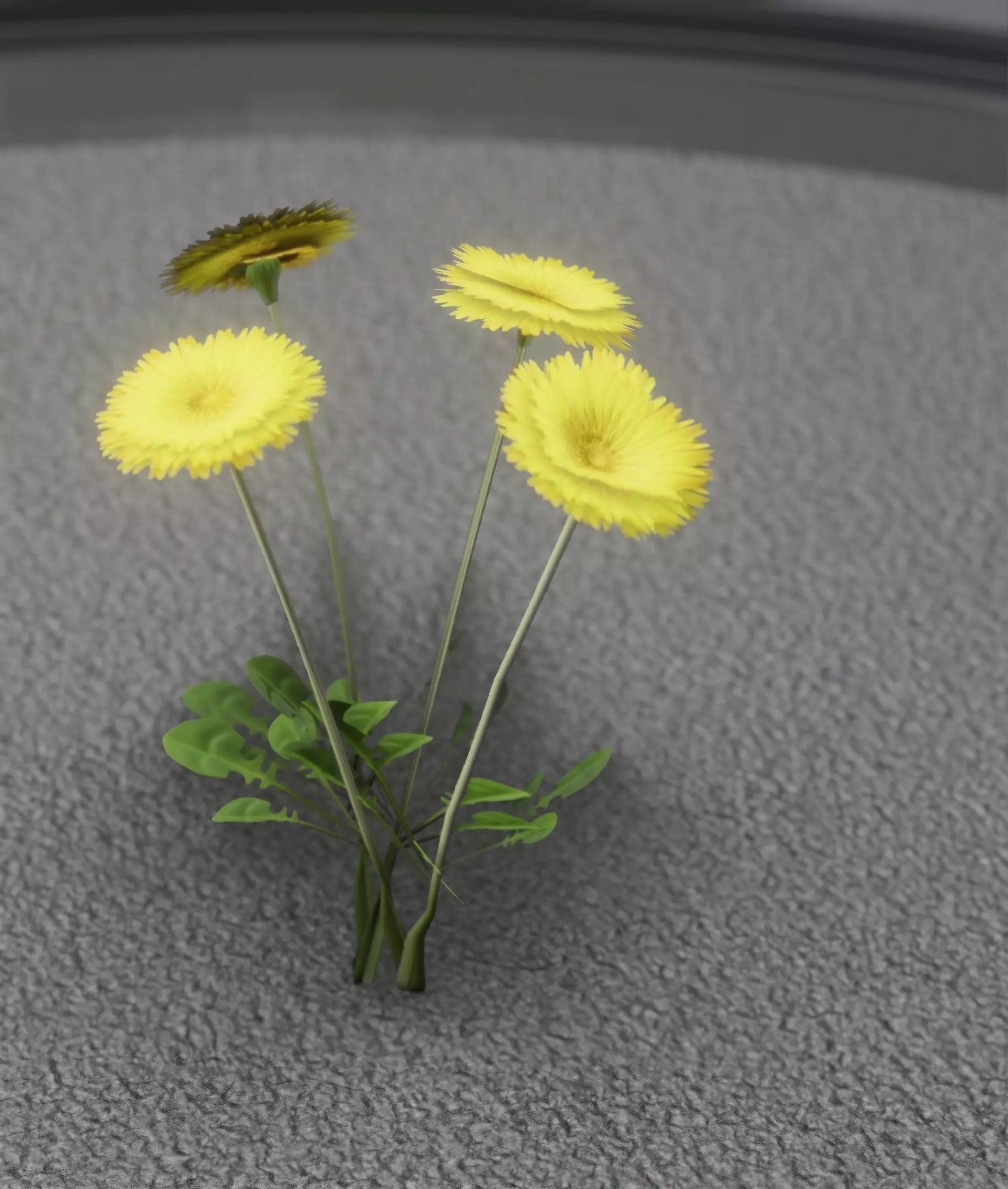 Low-Poly Dandelion Flower Version 5 - Object 11 Low-poly 3D model_0