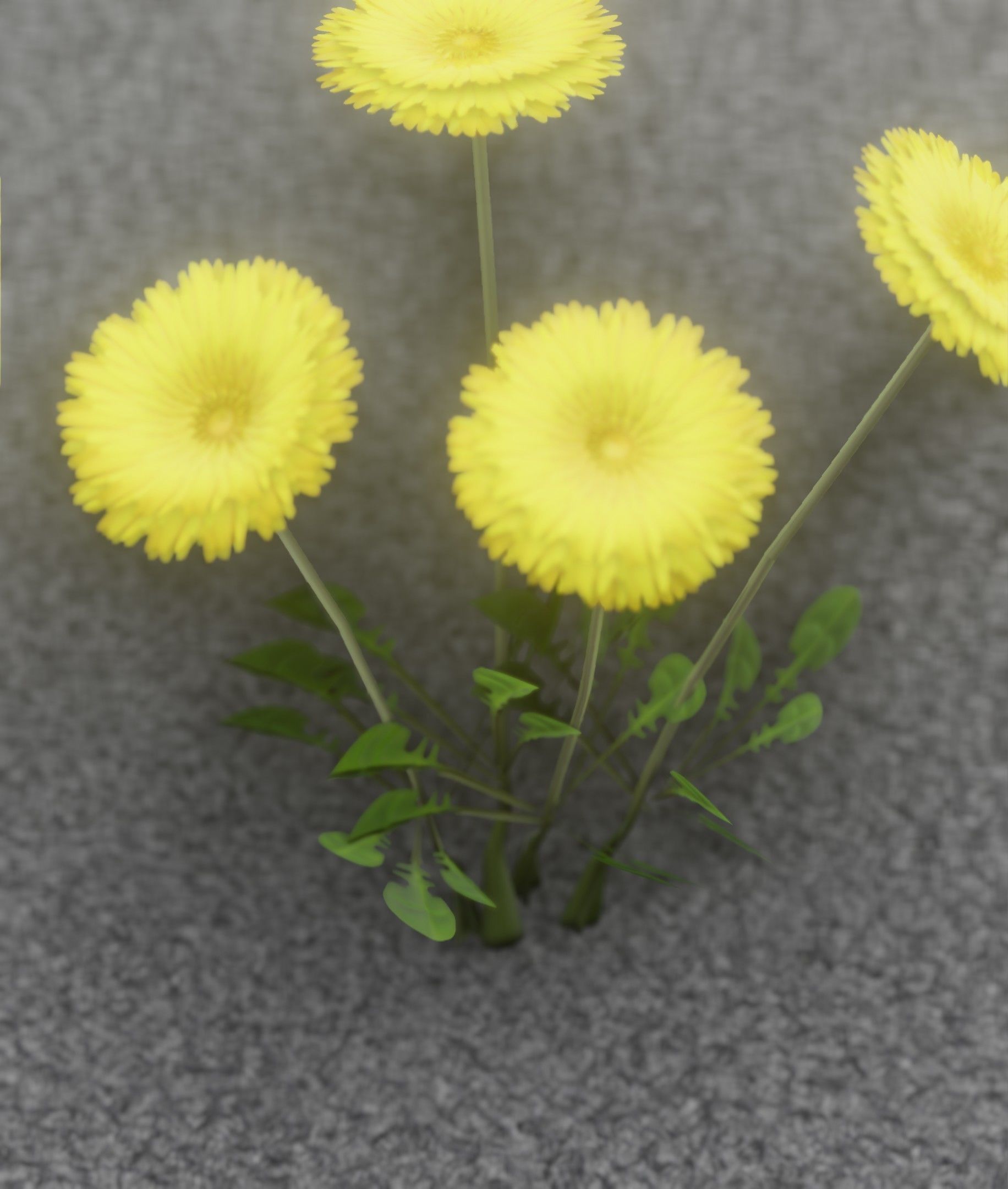 Low-Poly Dandelion Flower Version 5 - Object 11 Low-poly 3D model_6