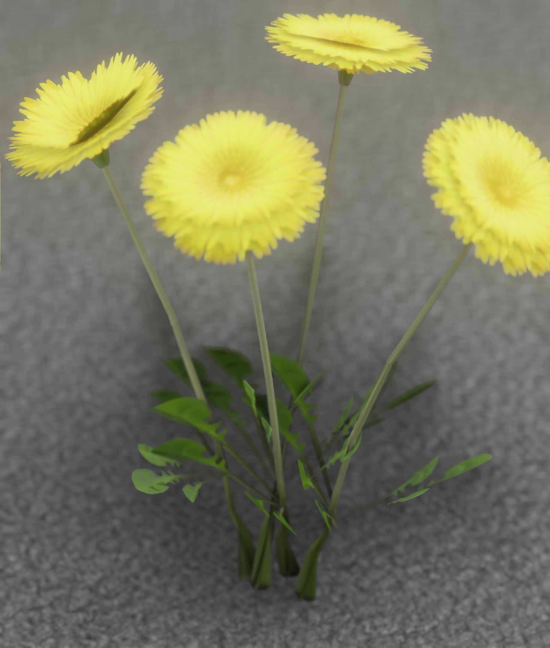 Low-Poly Dandelion Flower Version 5 - Object 11 Low-poly 3D model_25