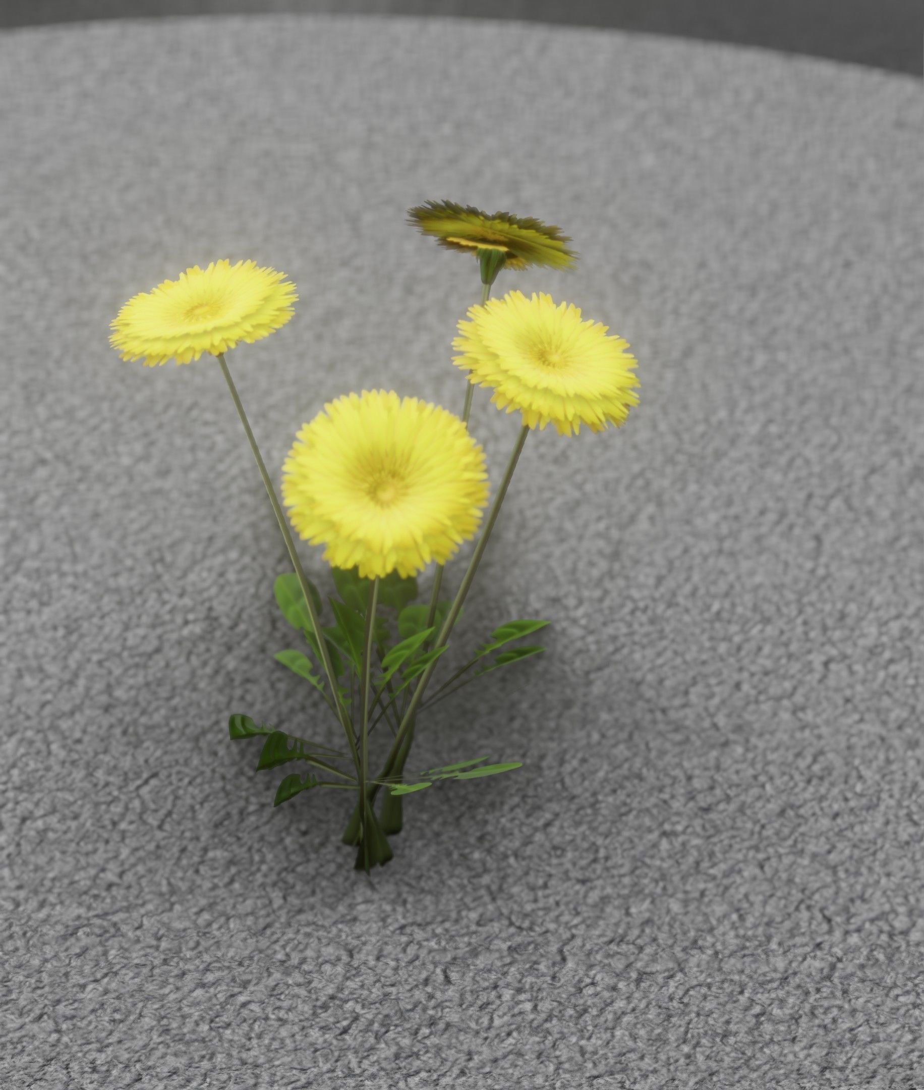 Low-Poly Dandelion Flower Version 5 - Object 11 Low-poly 3D model_35