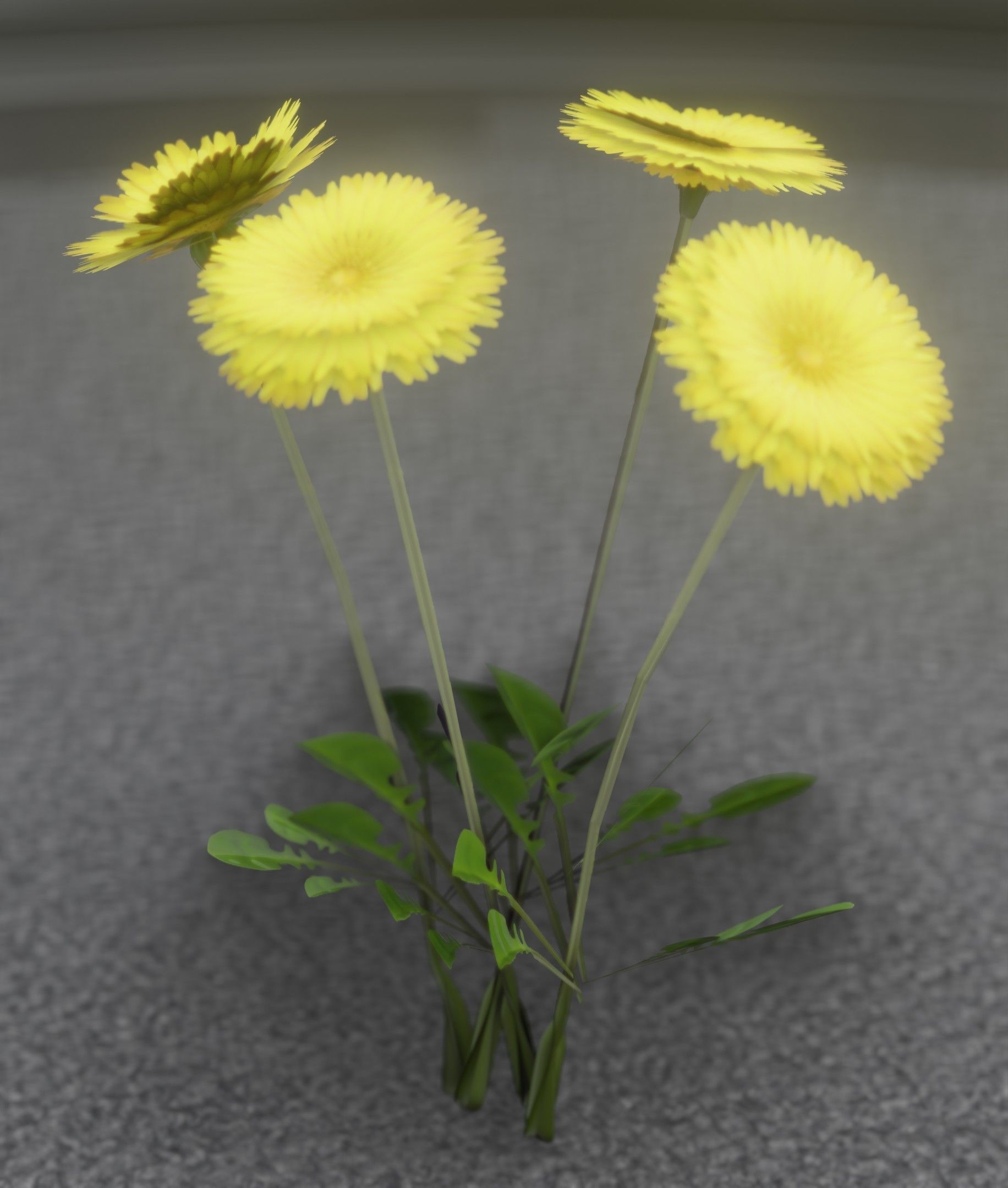 Low-Poly Dandelion Flower Version 5 - Object 11 Low-poly 3D model_4