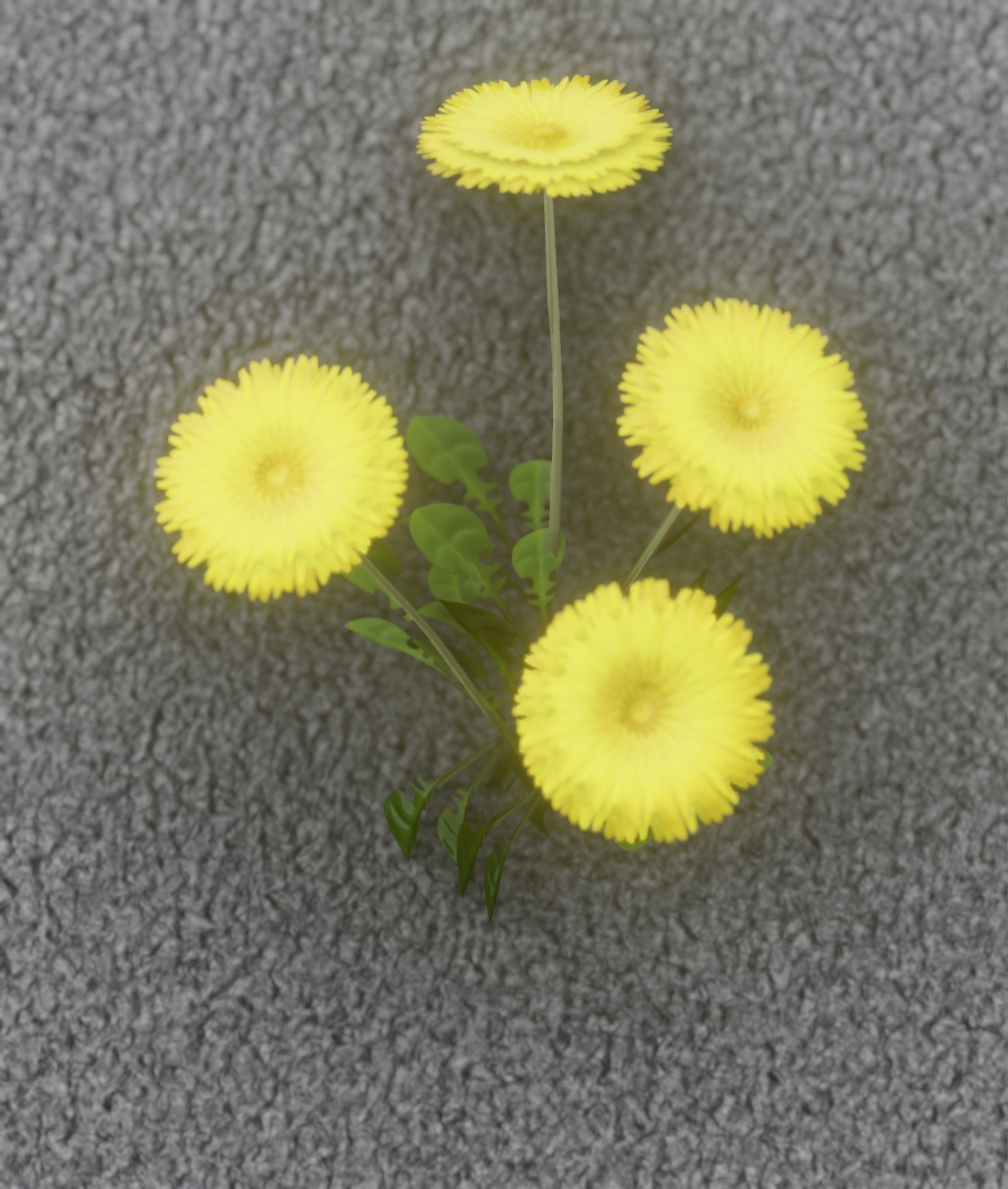 Low-Poly Dandelion Flower Version 5 - Object 11 Low-poly 3D model_2