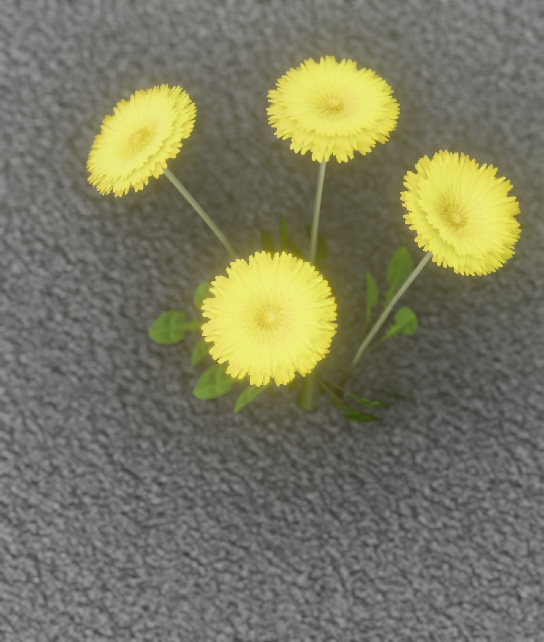 Low-Poly Dandelion Flower Version 5 - Object 11 Low-poly 3D model_16