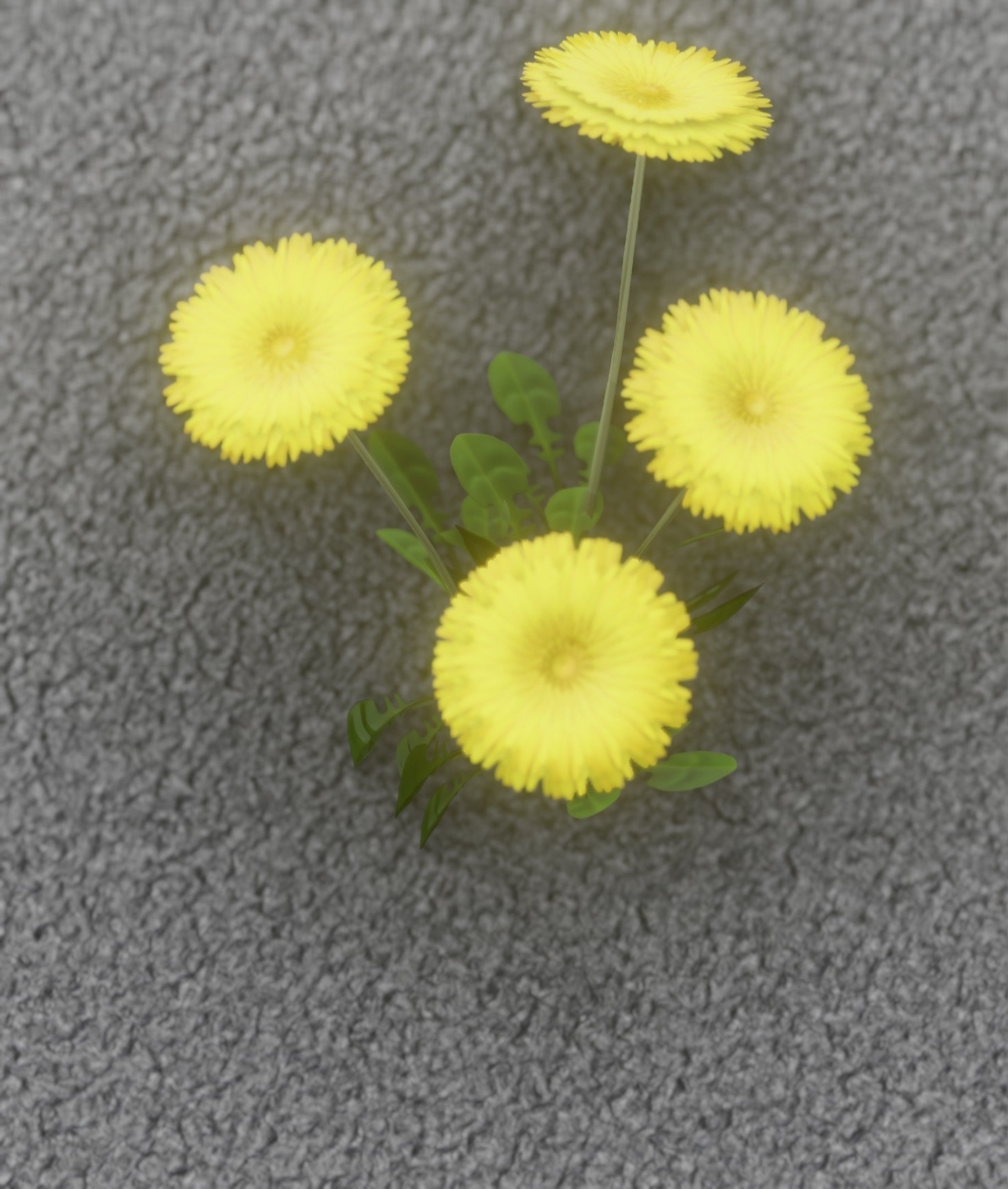 Low-Poly Dandelion Flower Version 5 - Object 11 Low-poly 3D model_20