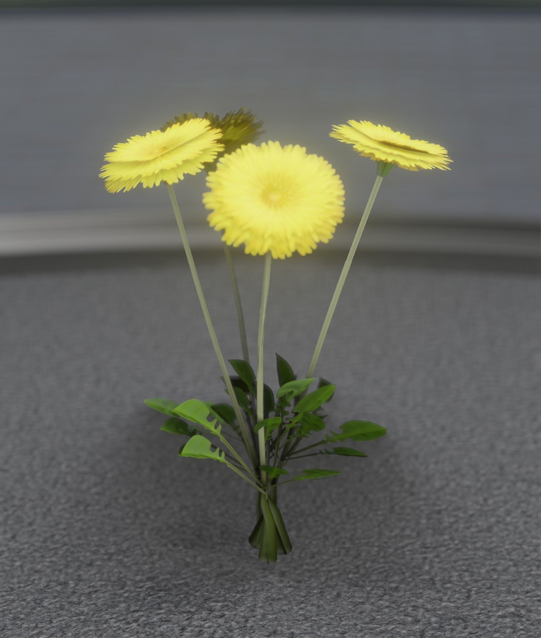 Low-Poly Dandelion Flower Version 5 - Object 11 Low-poly 3D model_27