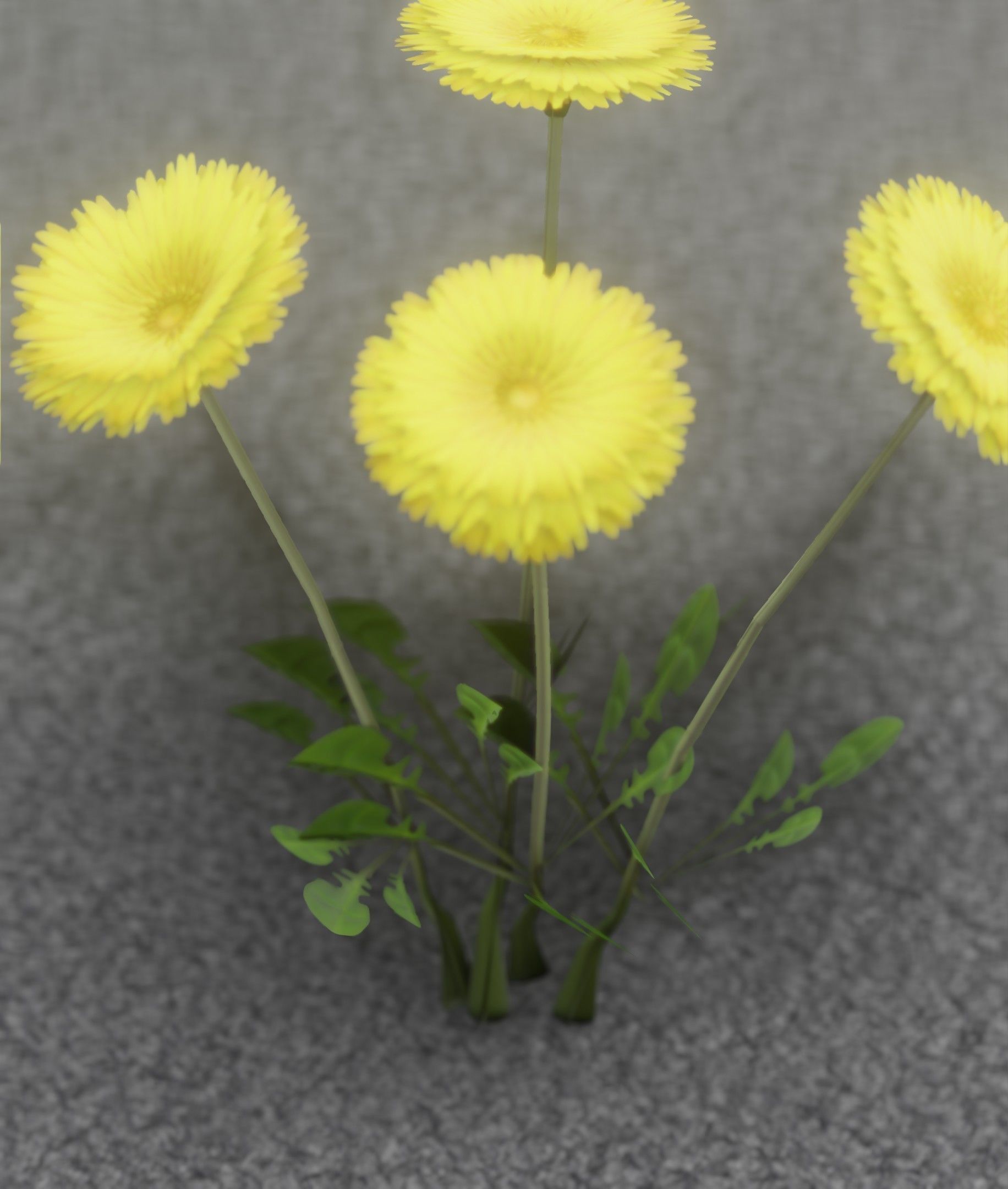 Low-Poly Dandelion Flower Version 5 - Object 11 Low-poly 3D model_24