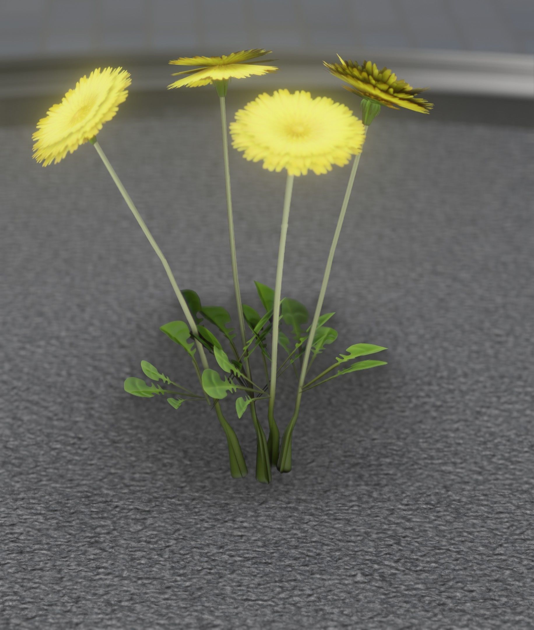 Low-Poly Dandelion Flower Version 5 - Object 11 Low-poly 3D model_31