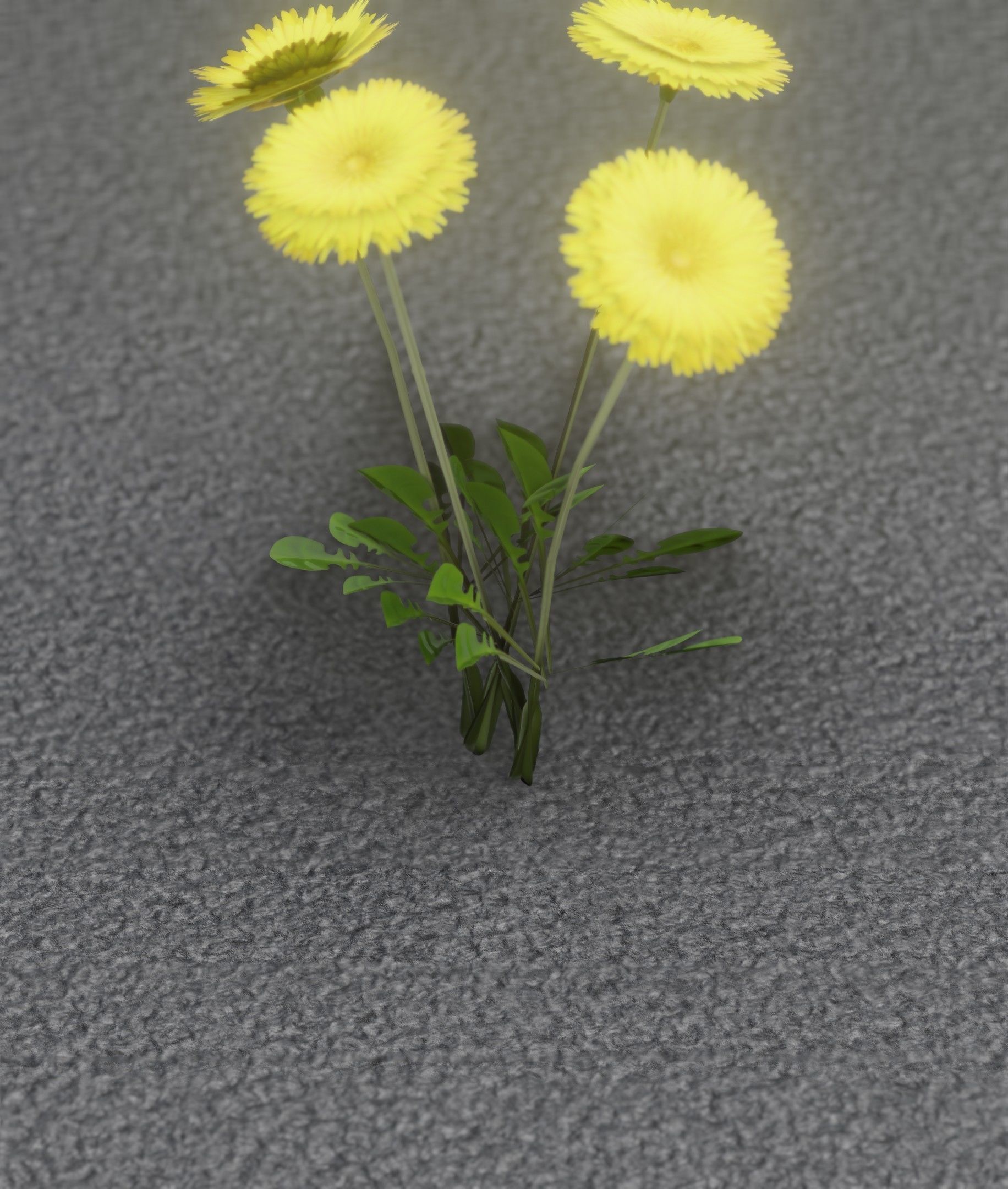 Low-Poly Dandelion Flower Version 5 - Object 11 Low-poly 3D model_10