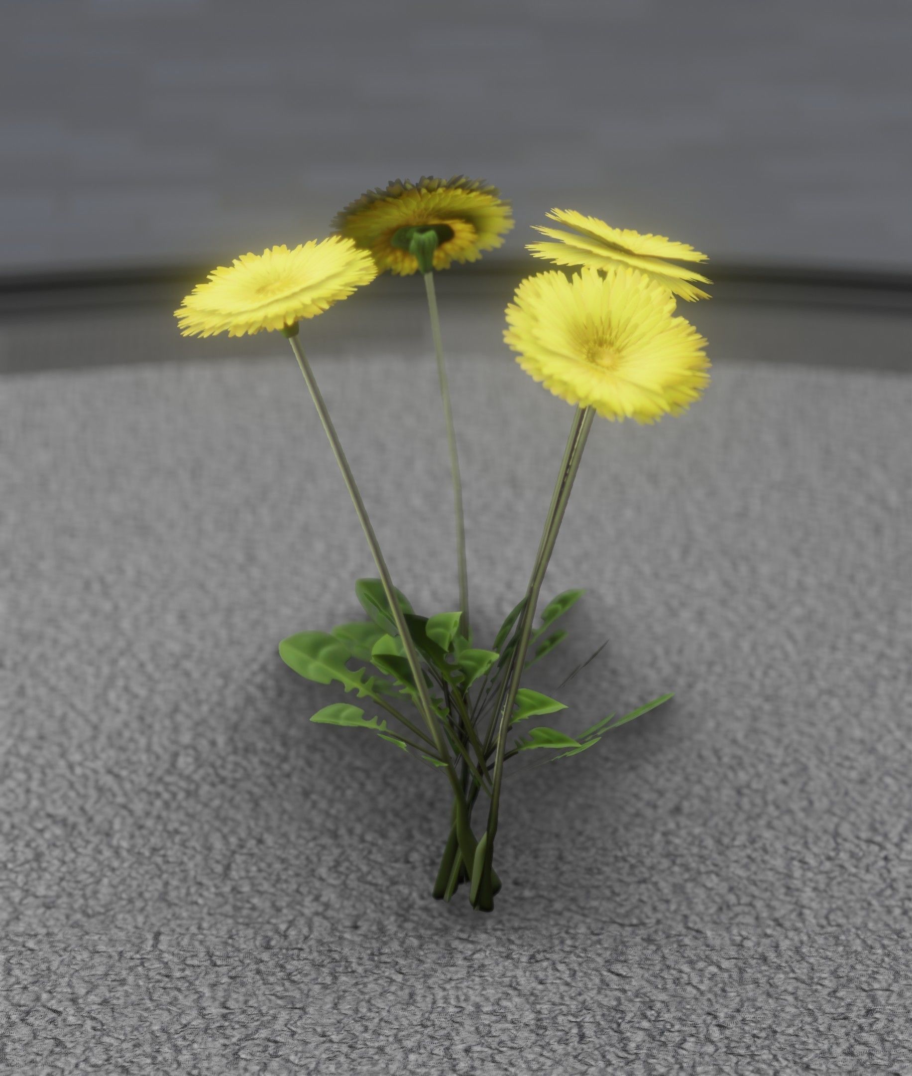 Low-Poly Dandelion Flower Version 5 - Object 11 Low-poly 3D model_46