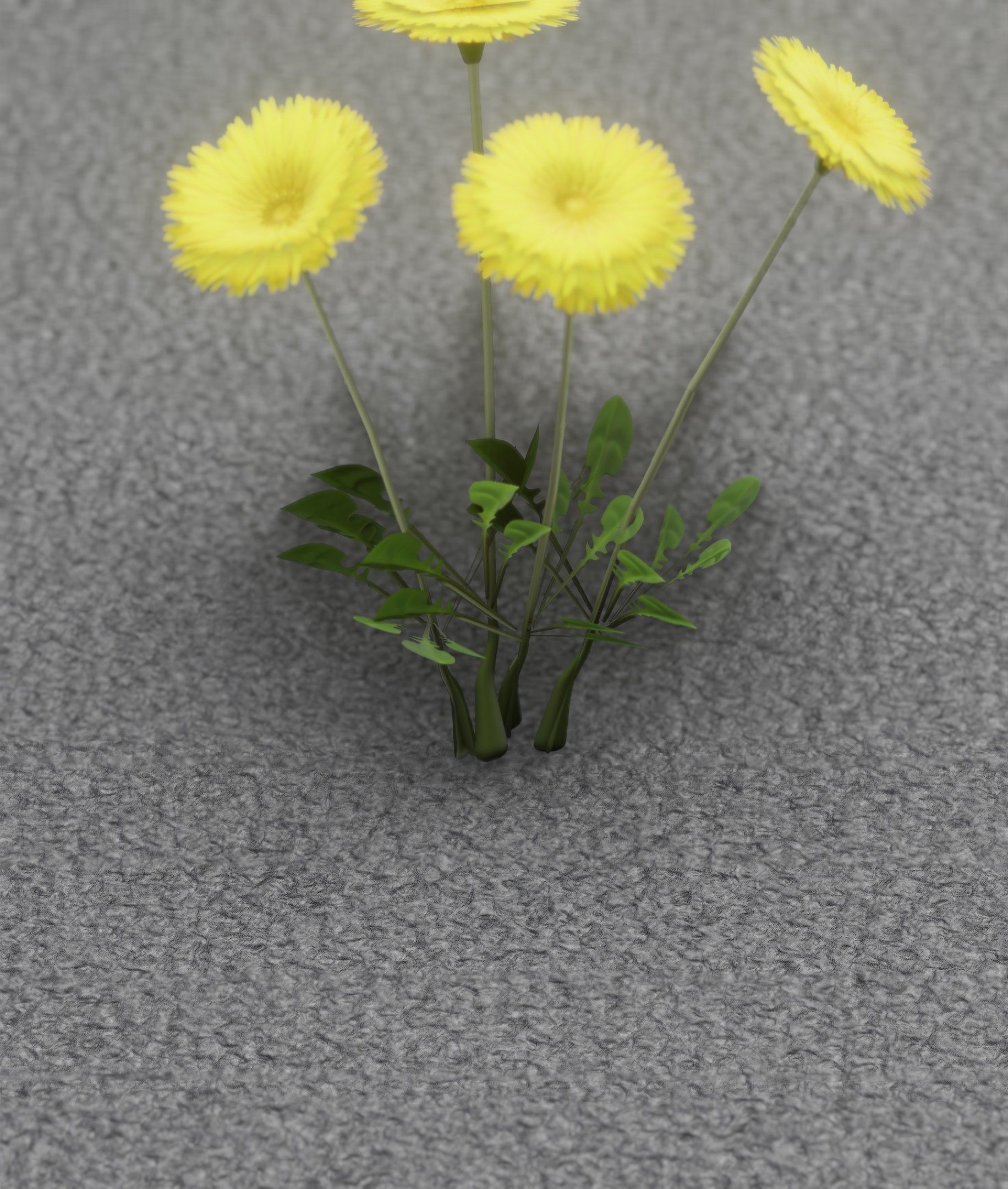 Low-Poly Dandelion Flower Version 5 - Object 11 Low-poly 3D model_7