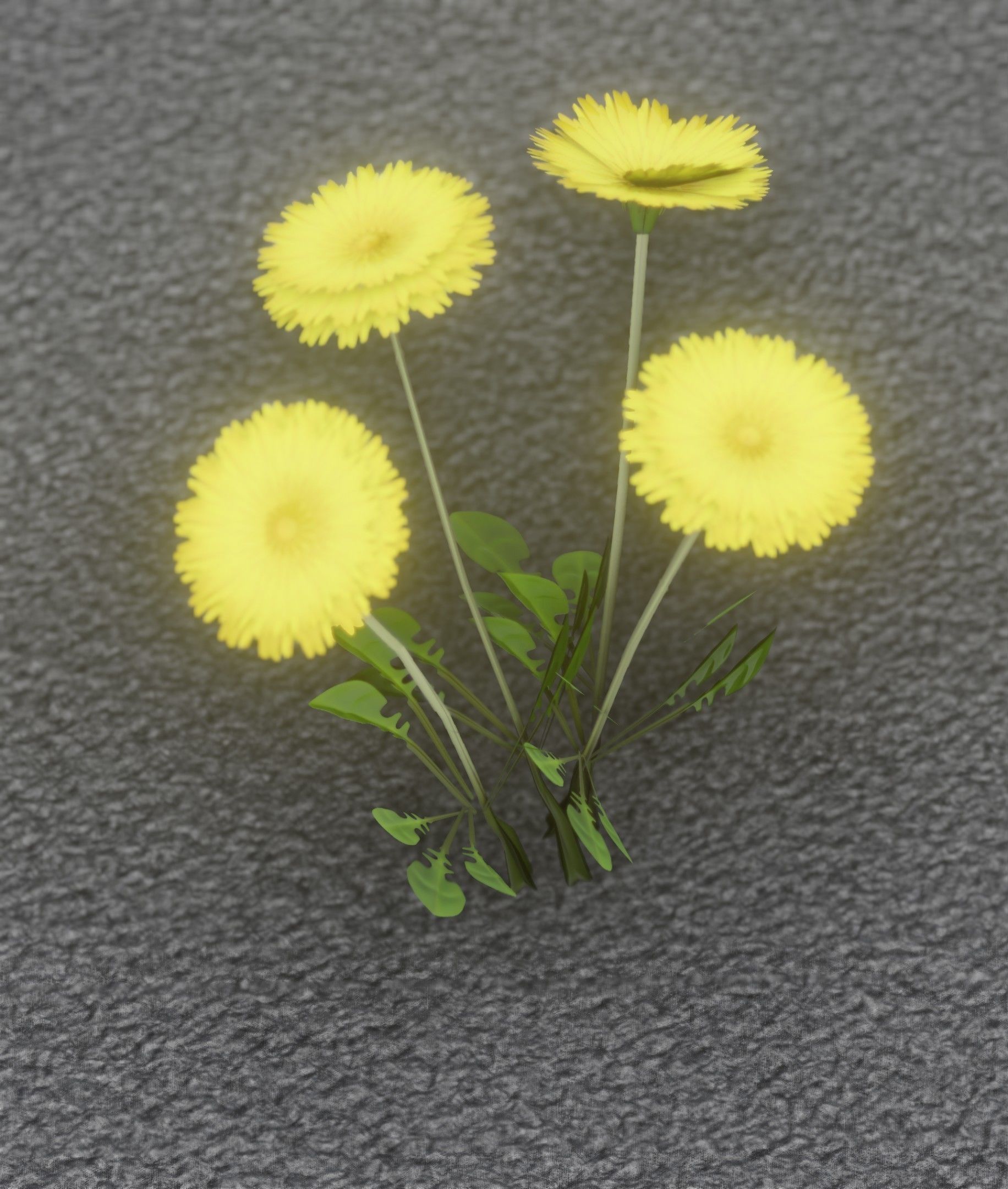 Low-Poly Dandelion Flower Version 5 - Object 11 Low-poly 3D model_12