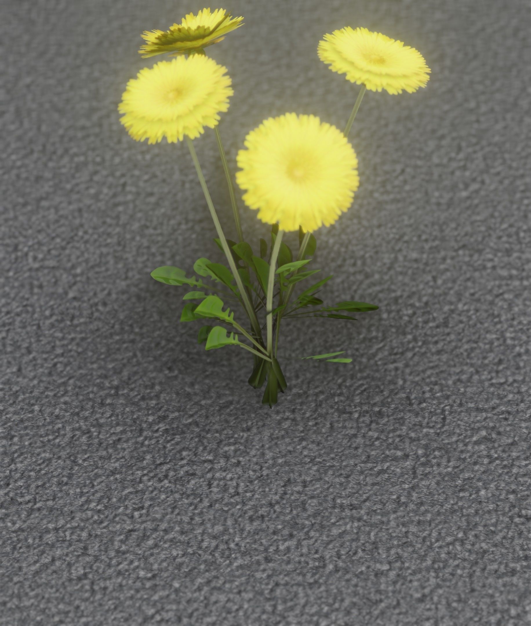 Low-Poly Dandelion Flower Version 5 - Object 11 Low-poly 3D model_11