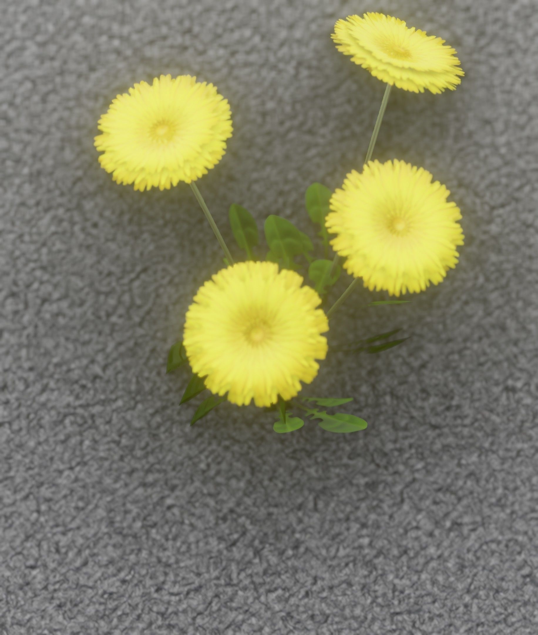 Low-Poly Dandelion Flower Version 5 - Object 11 Low-poly 3D model_21