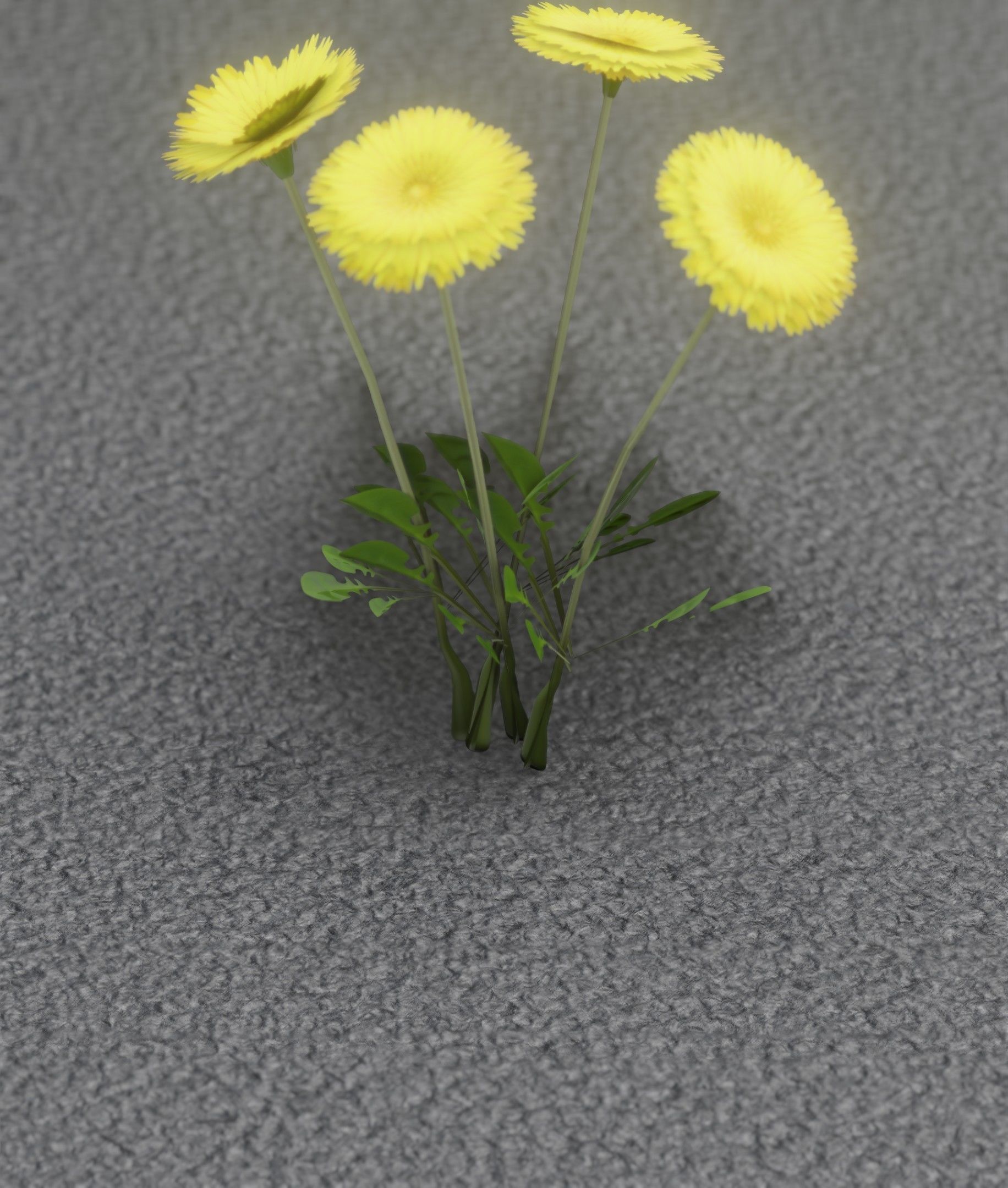 Low-Poly Dandelion Flower Version 5 - Object 11 Low-poly 3D model_9