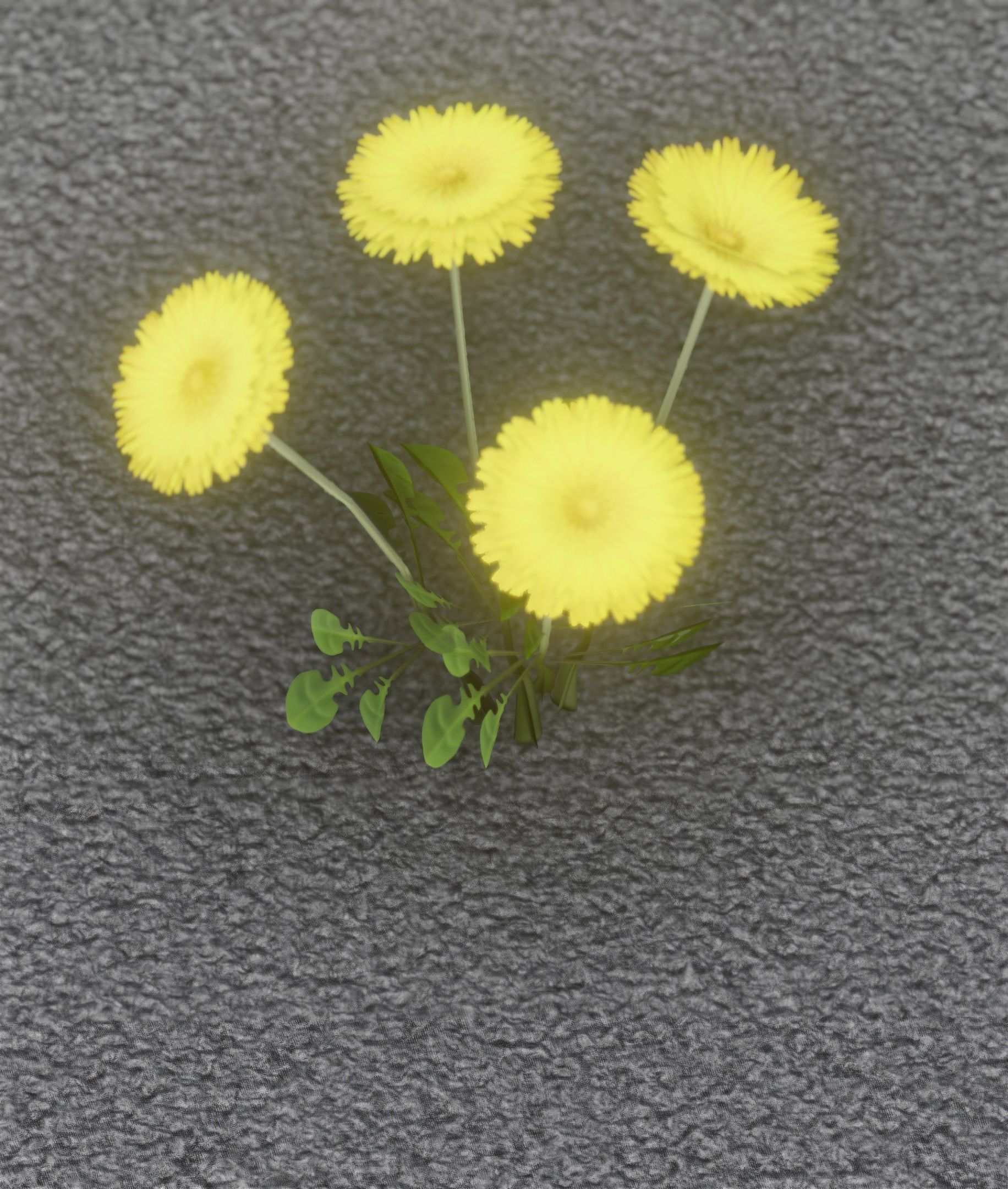 Low-Poly Dandelion Flower Version 5 - Object 11 Low-poly 3D model_14