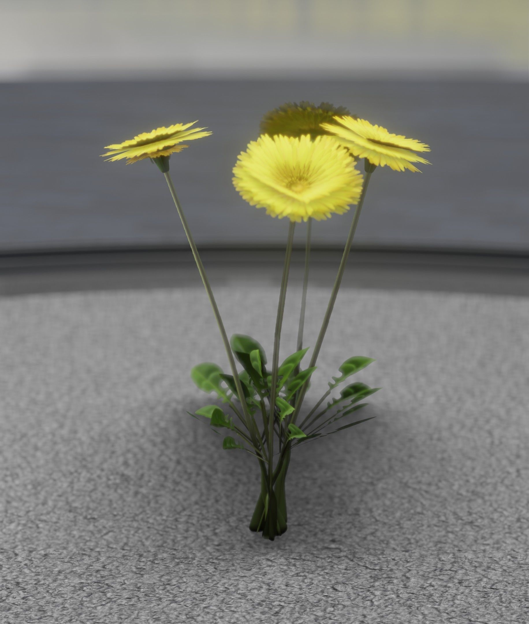 Low-Poly Dandelion Flower Version 5 - Object 11 Low-poly 3D model_47