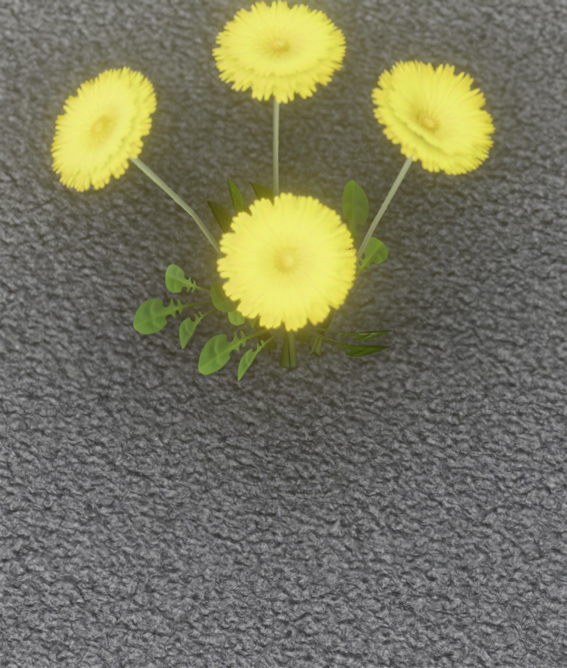 Low-Poly Dandelion Flower Version 5 - Object 11 Low-poly 3D model_15