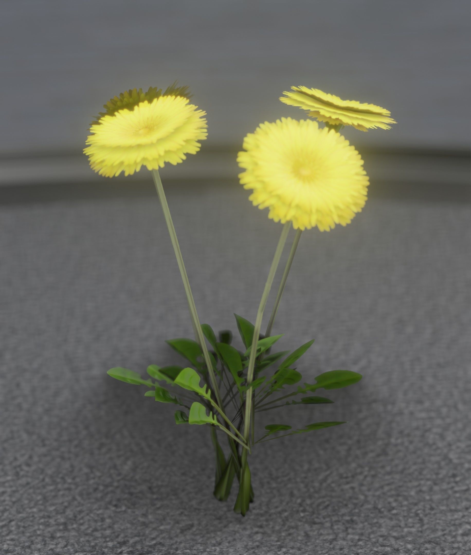 Low-Poly Dandelion Flower Version 5 - Object 11 Low-poly 3D model_26