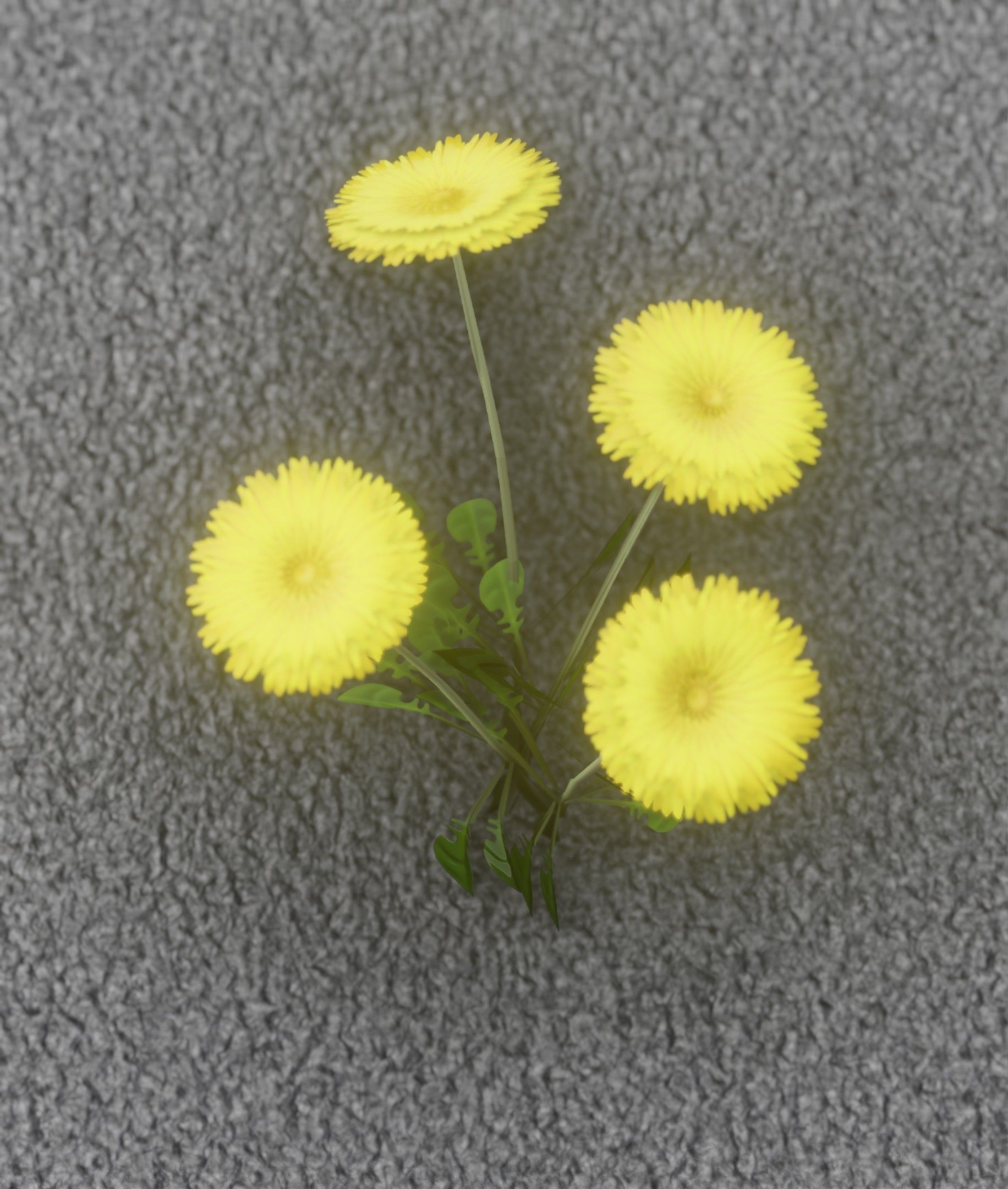 Low-Poly Dandelion Flower Version 5 - Object 11 Low-poly 3D model_19