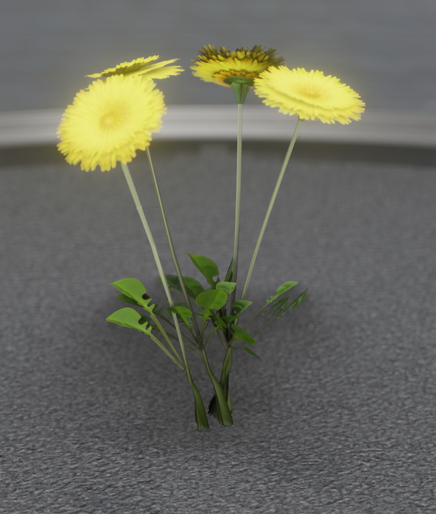 Low-Poly Dandelion Flower Version 5 - Object 11 Low-poly 3D model_29