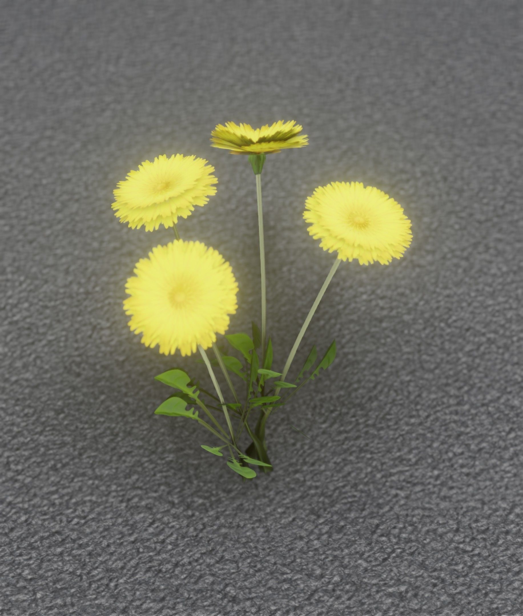Low-Poly Dandelion Flower Version 5 - Object 11 Low-poly 3D model_41