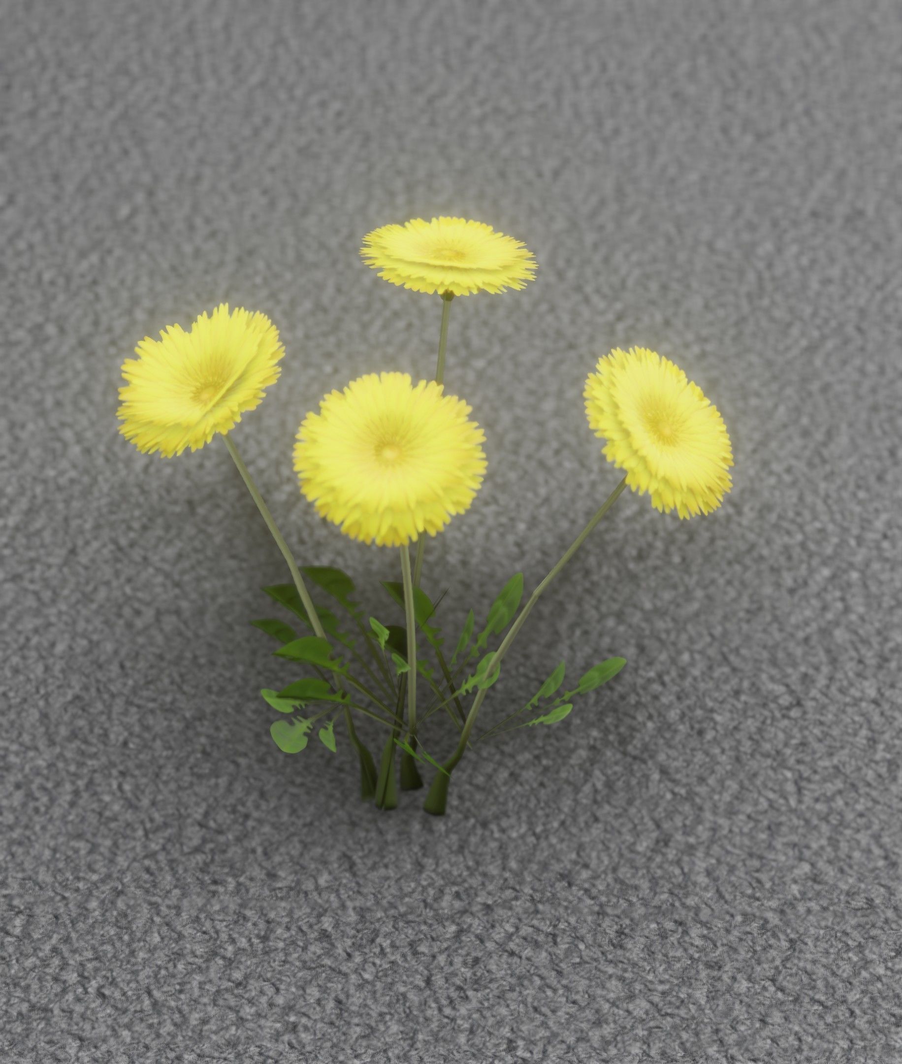 Low-Poly Dandelion Flower Version 5 - Object 11 Low-poly 3D model_38