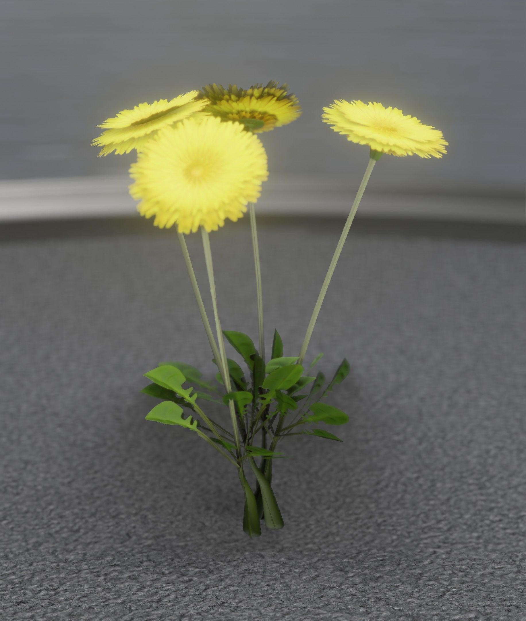 Low-Poly Dandelion Flower Version 5 - Object 11 Low-poly 3D model_28