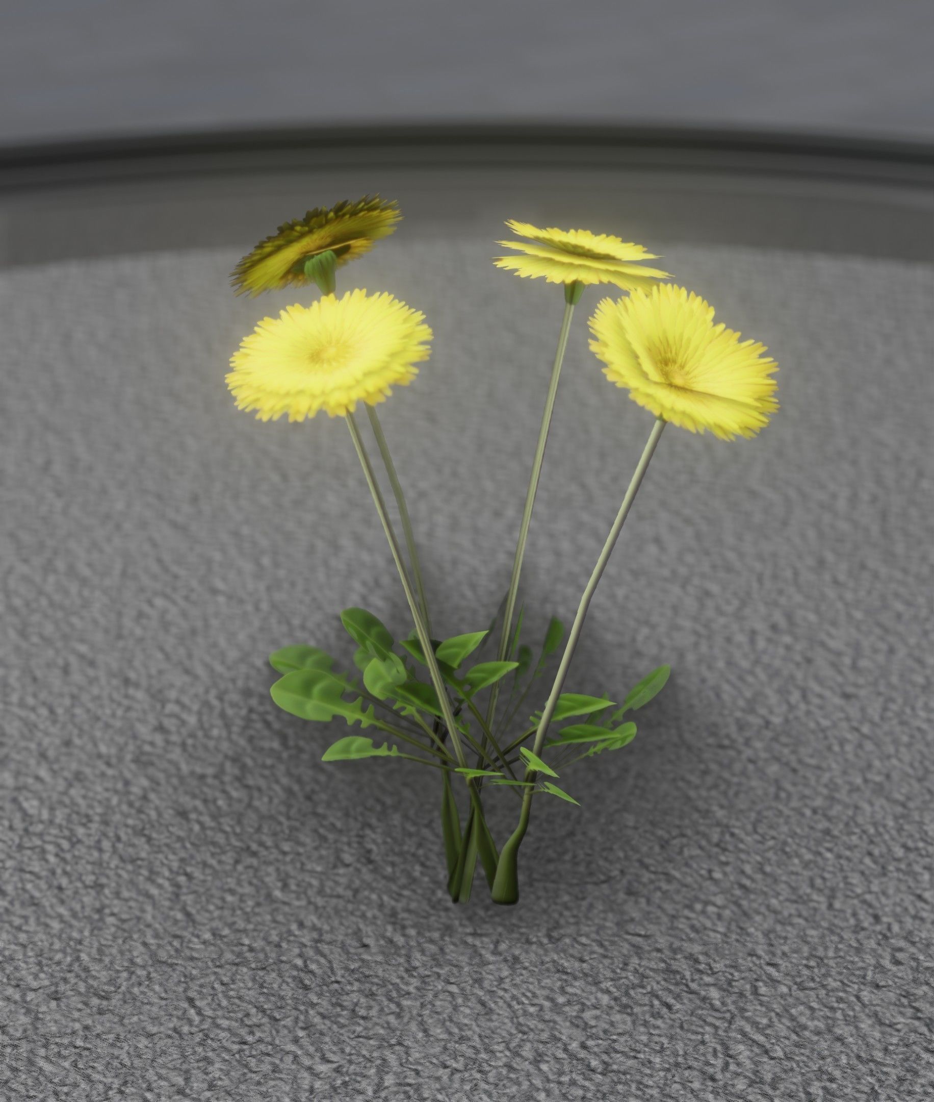 Low-Poly Dandelion Flower Version 5 - Object 11 Low-poly 3D model_45