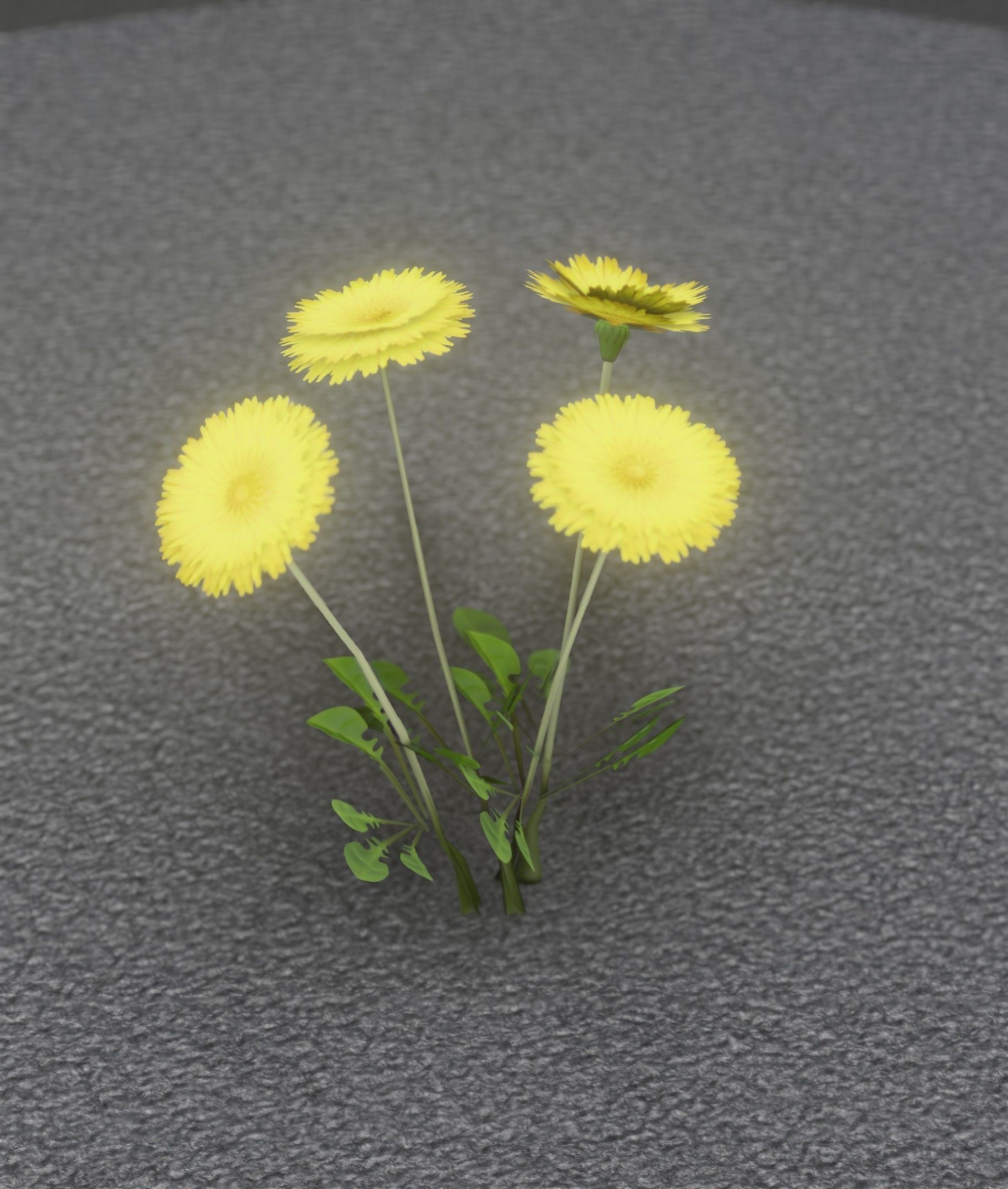 Low-Poly Dandelion Flower Version 5 - Object 11 Low-poly 3D model_42