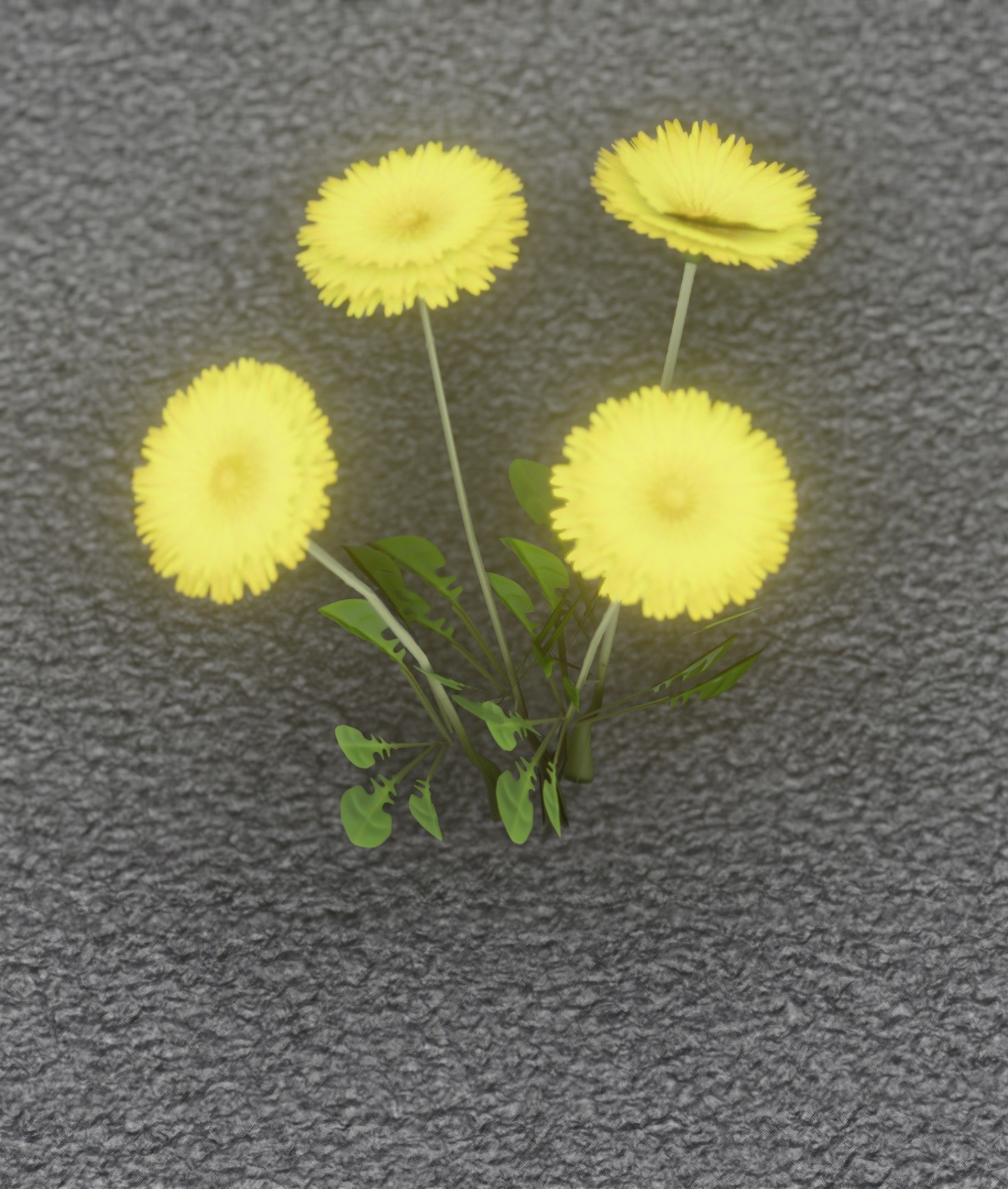 Low-Poly Dandelion Flower Version 5 - Object 11 Low-poly 3D model_13