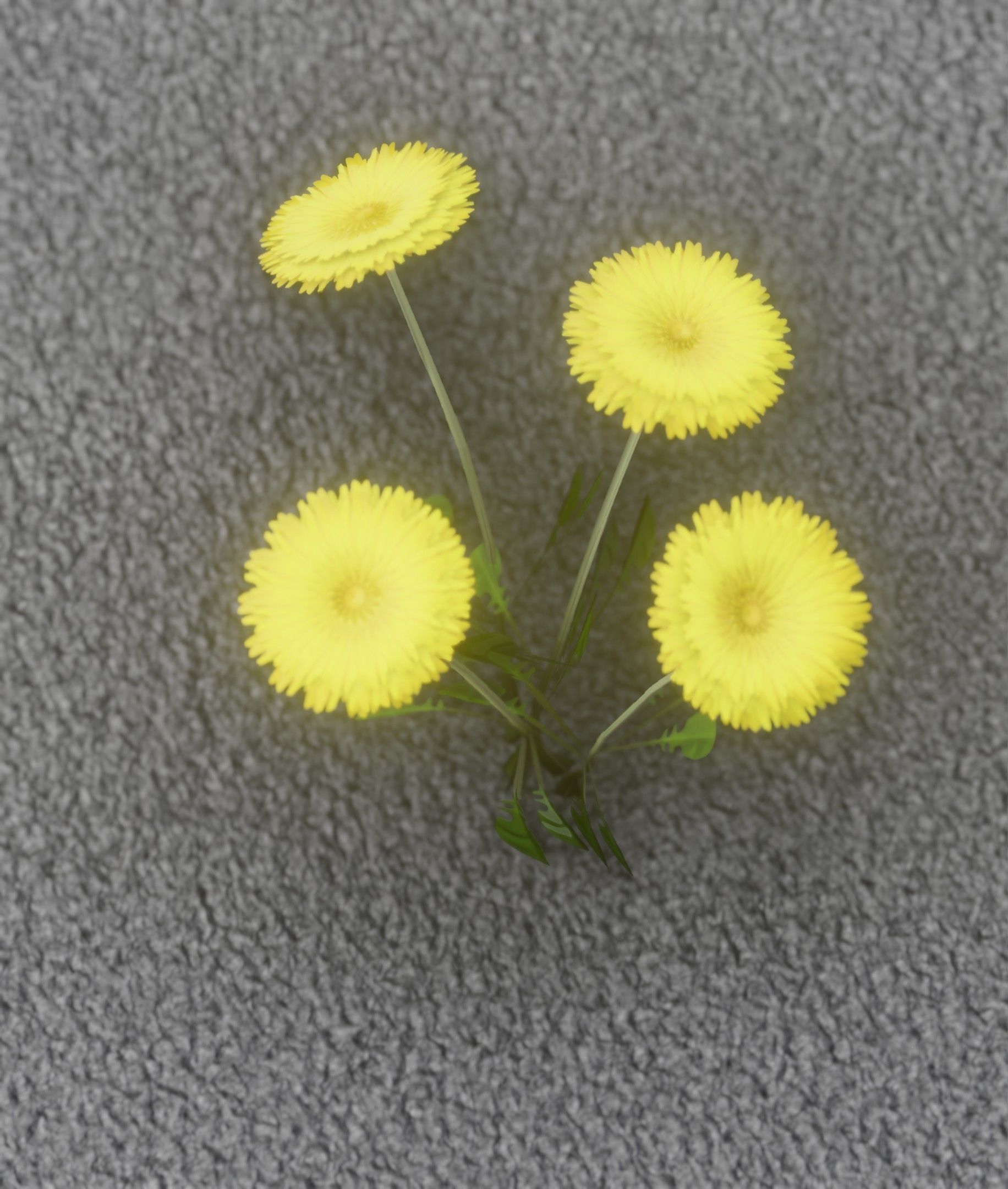 Low-Poly Dandelion Flower Version 5 - Object 11 Low-poly 3D model_18