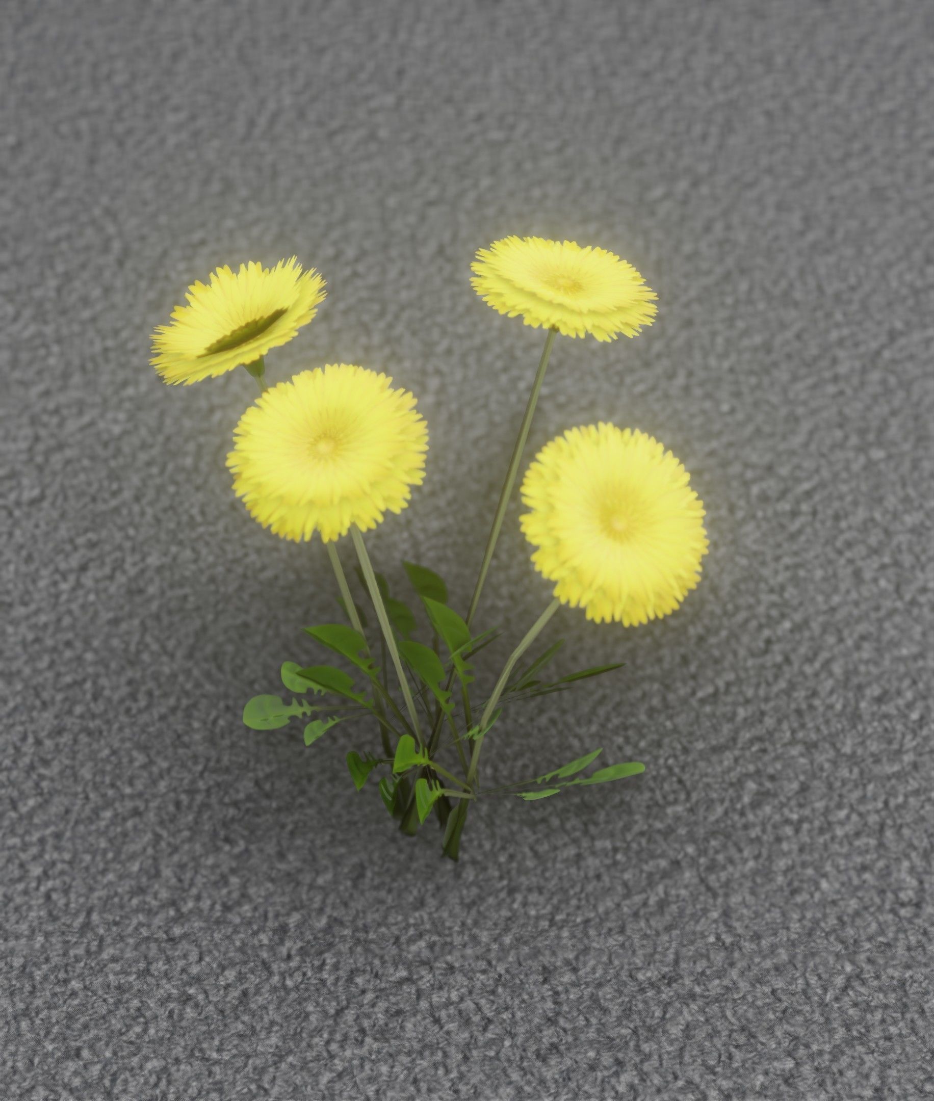 Low-Poly Dandelion Flower Version 5 - Object 11 Low-poly 3D model_39