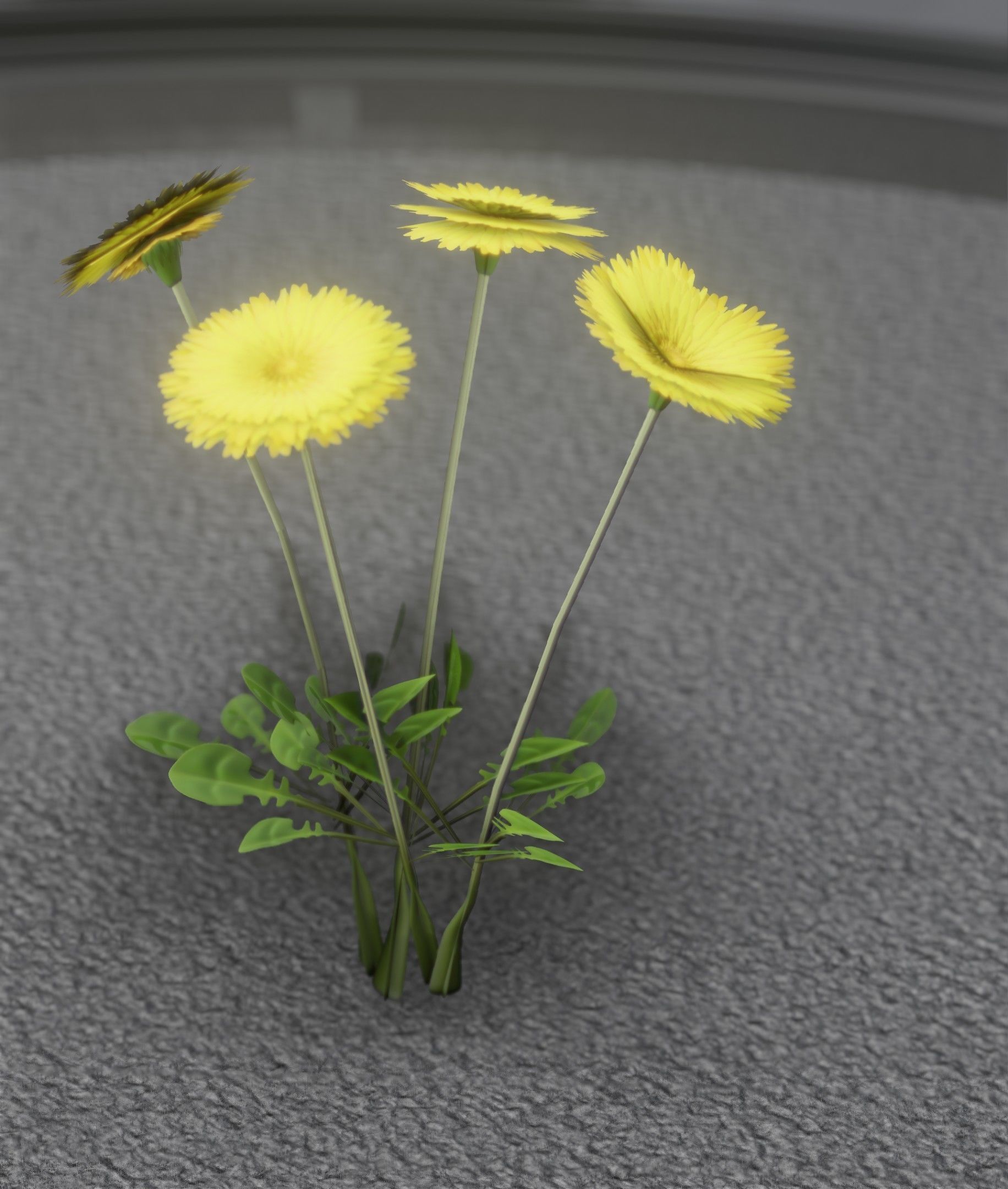 Low-Poly Dandelion Flower Version 5 - Object 11 Low-poly 3D model_33