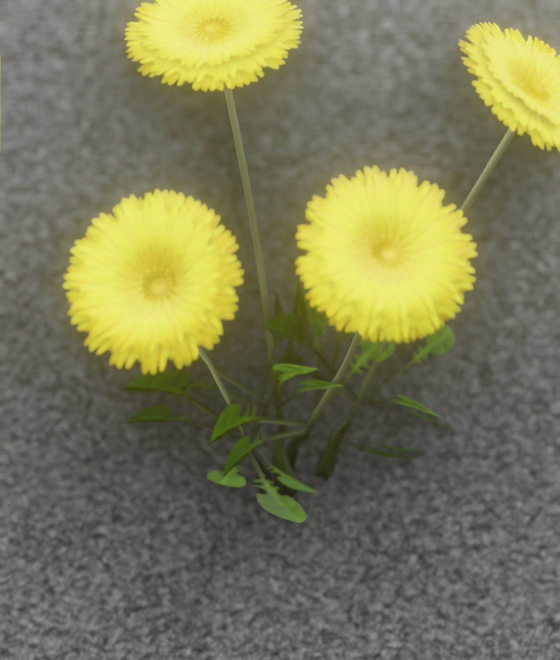 Low-Poly Dandelion Flower Version 5 - Object 11 Low-poly 3D model_23